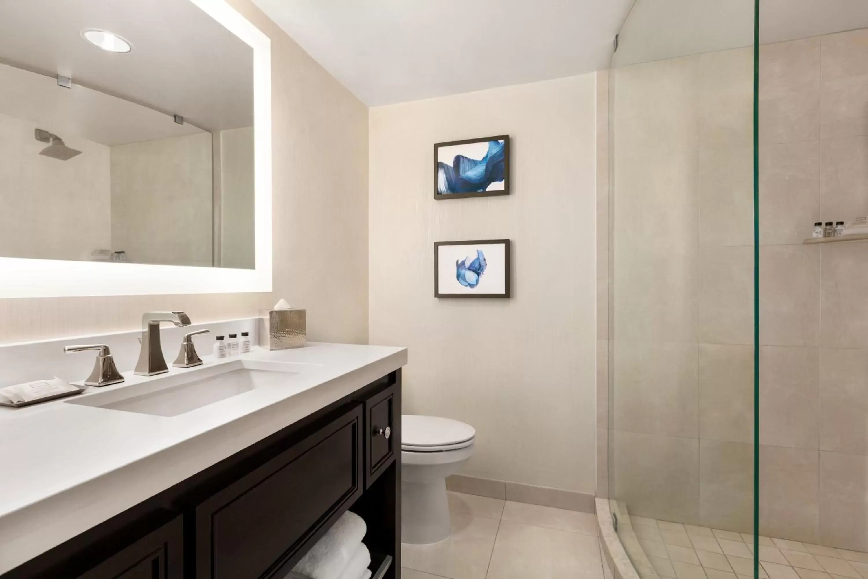 Bathroom in Crowne Plaza Hotel Philadelphia - King of Prussia, an IHG Hotel