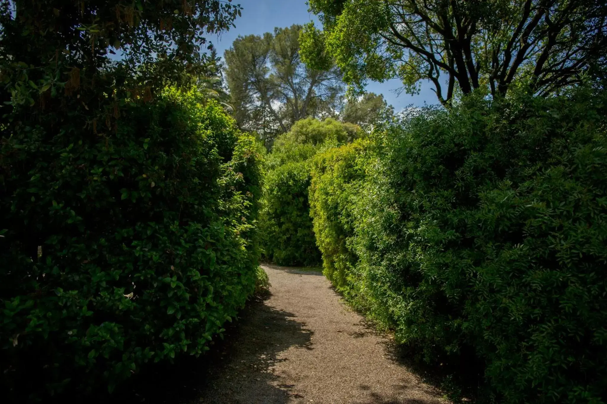 Casa Viña de Alcántara Casa Viña de Alcántara
