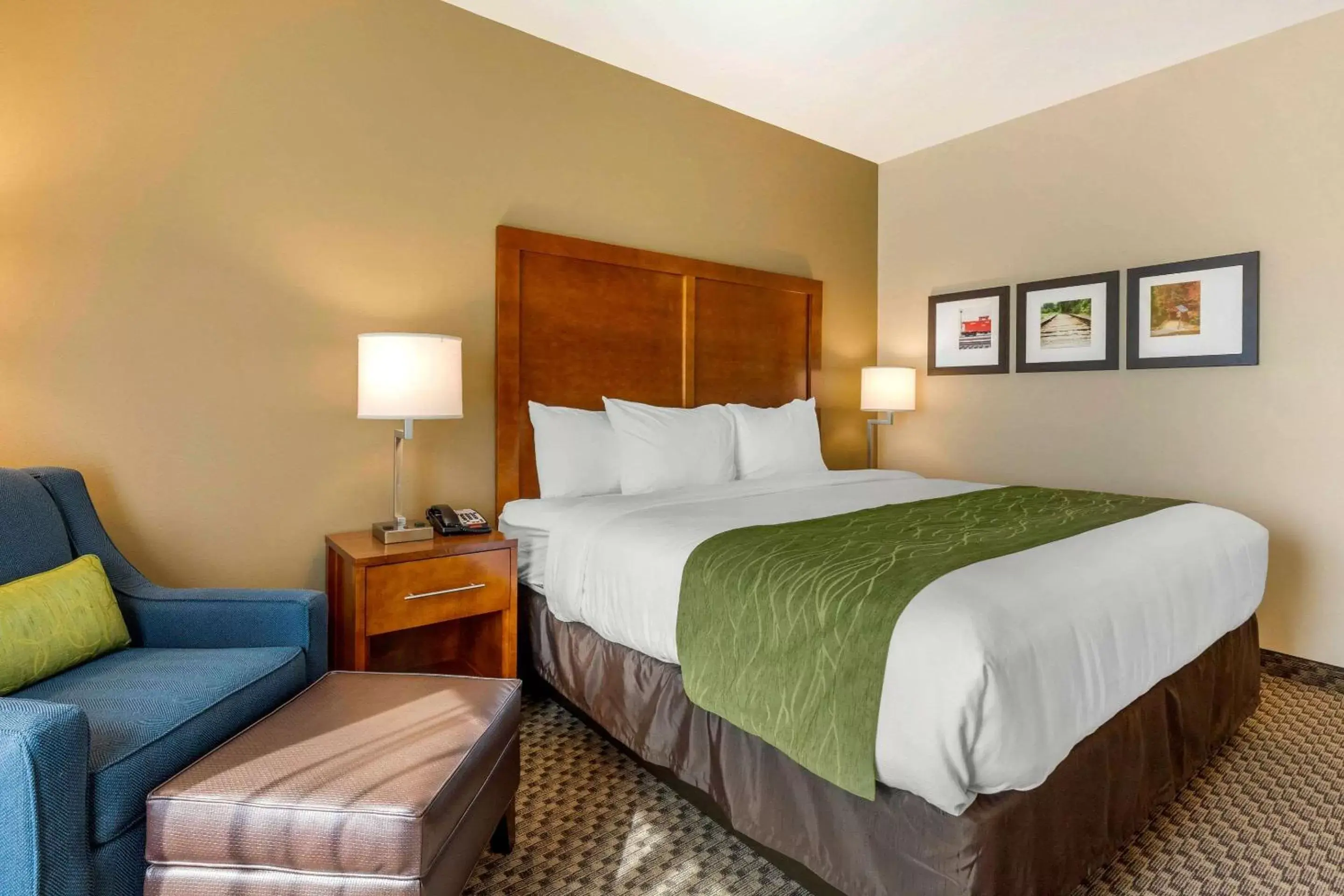 Photo of the whole room, Bed in Comfort Inn & Suites Florence Center Area Photo of the whole room, Bed in Comfort Inn & Suites Florence Center Area