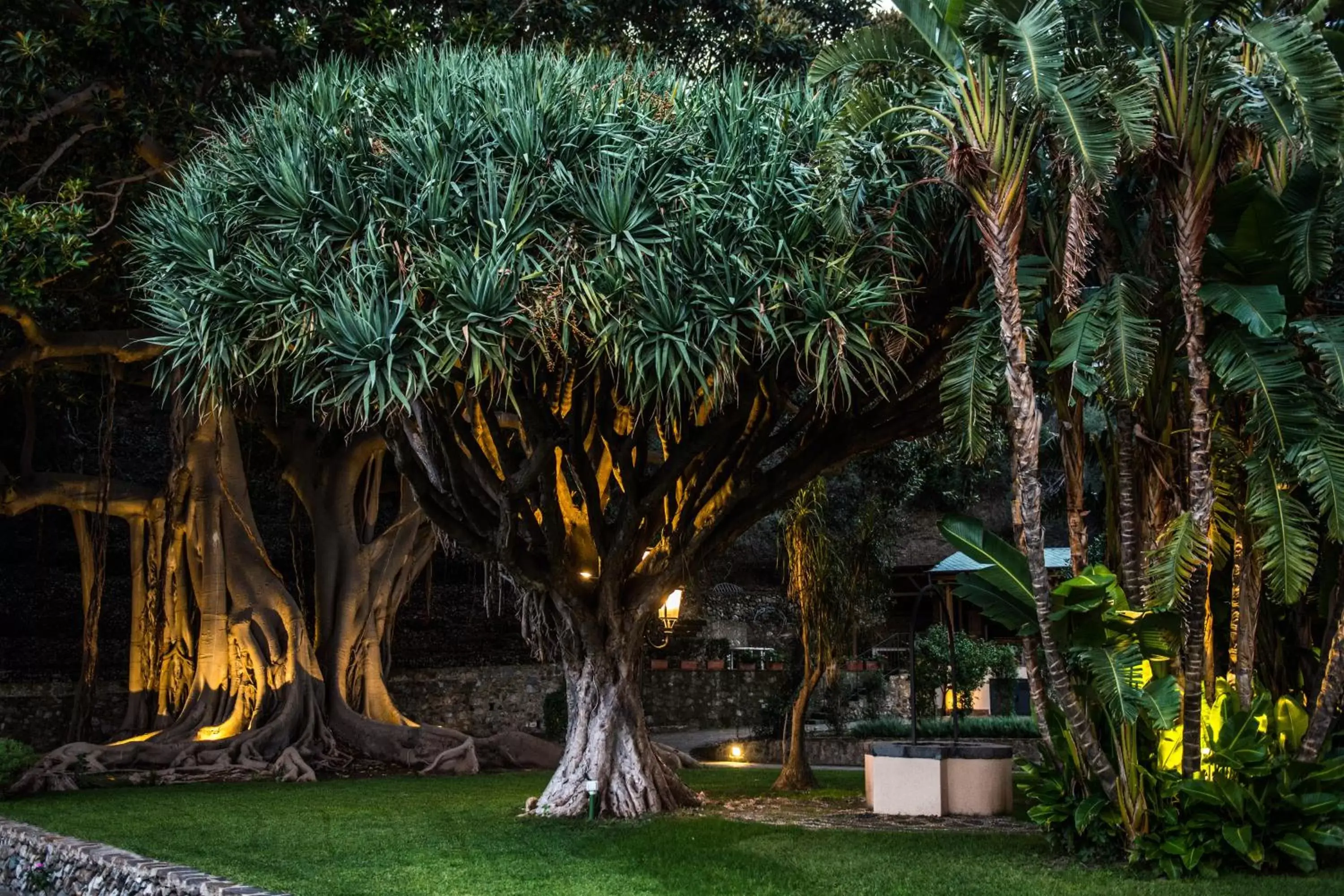 Garden in Villa Pulejo