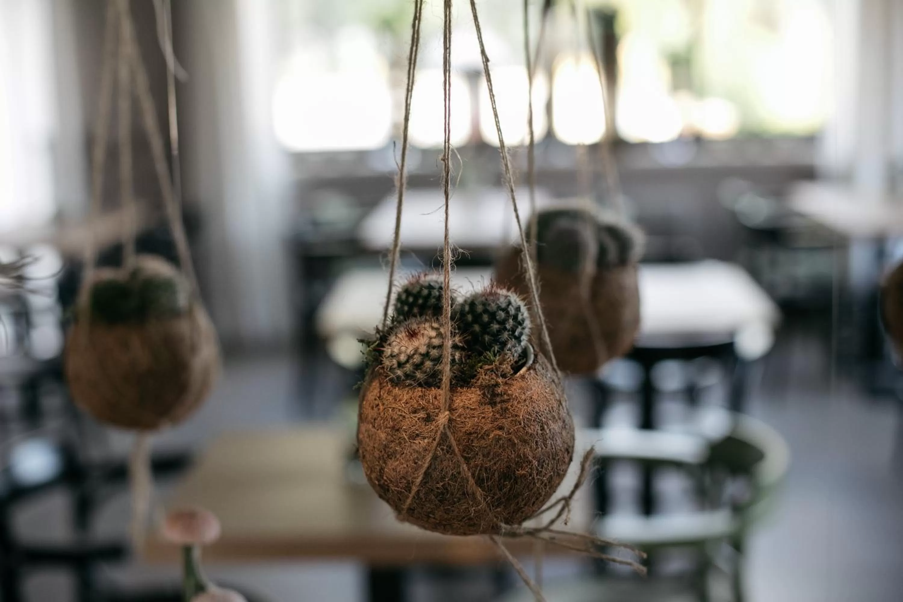 Lobby or reception in Hotel Aloisi