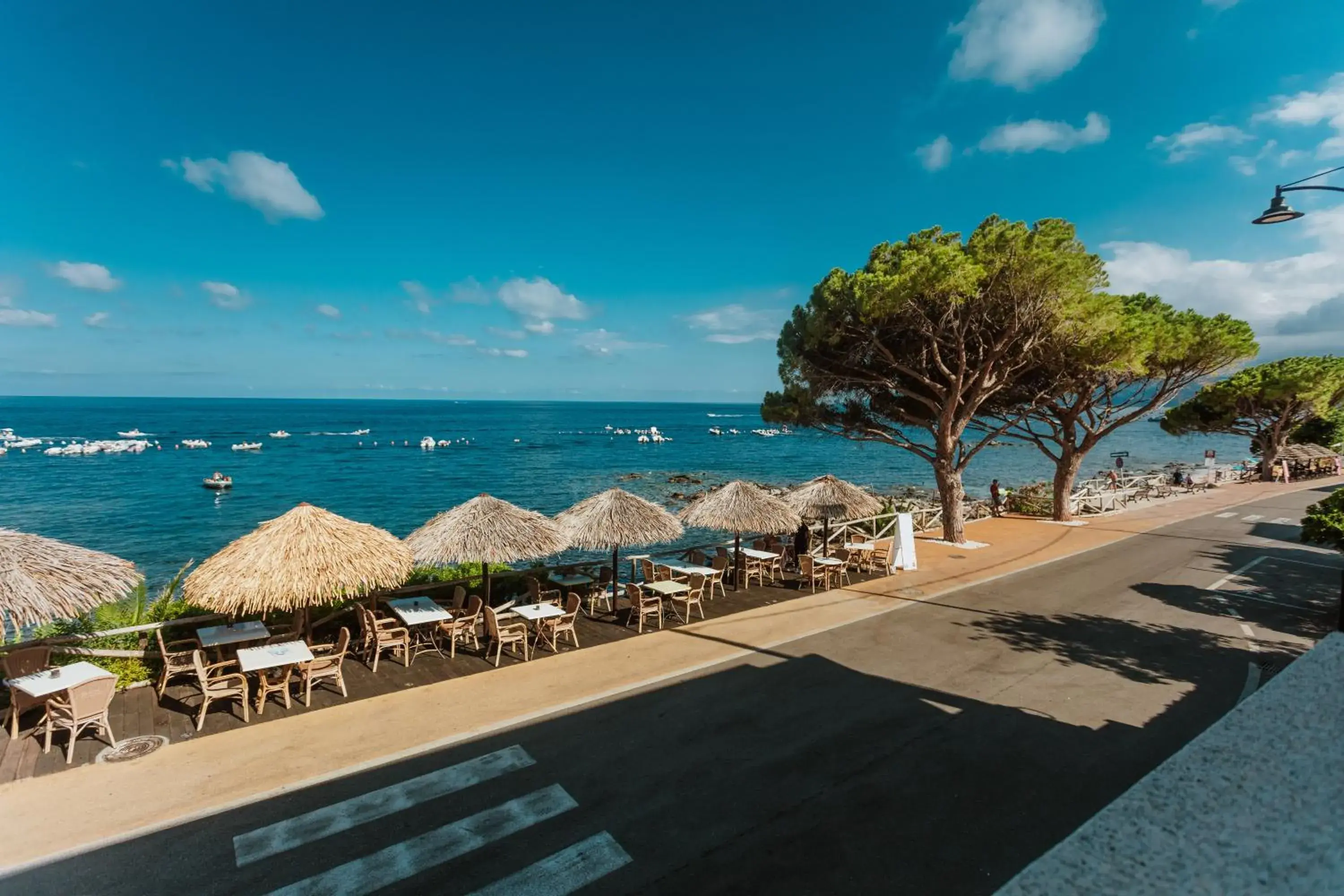 Restaurant/places to eat, Beach in Hotel Ristorante La Conchiglia