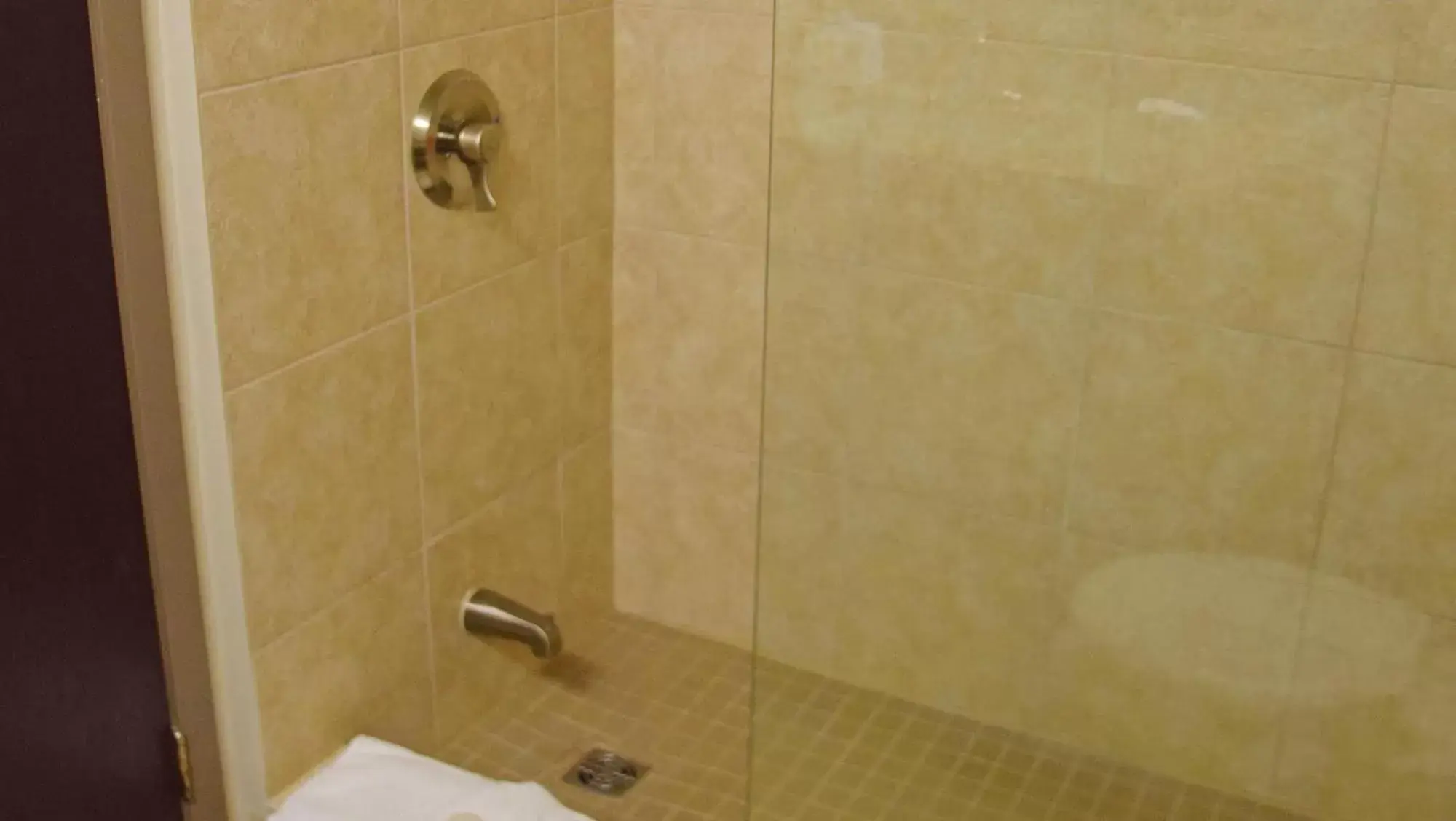 Shower, Bathroom in Best Western Pembroke Inn & Conference Centre