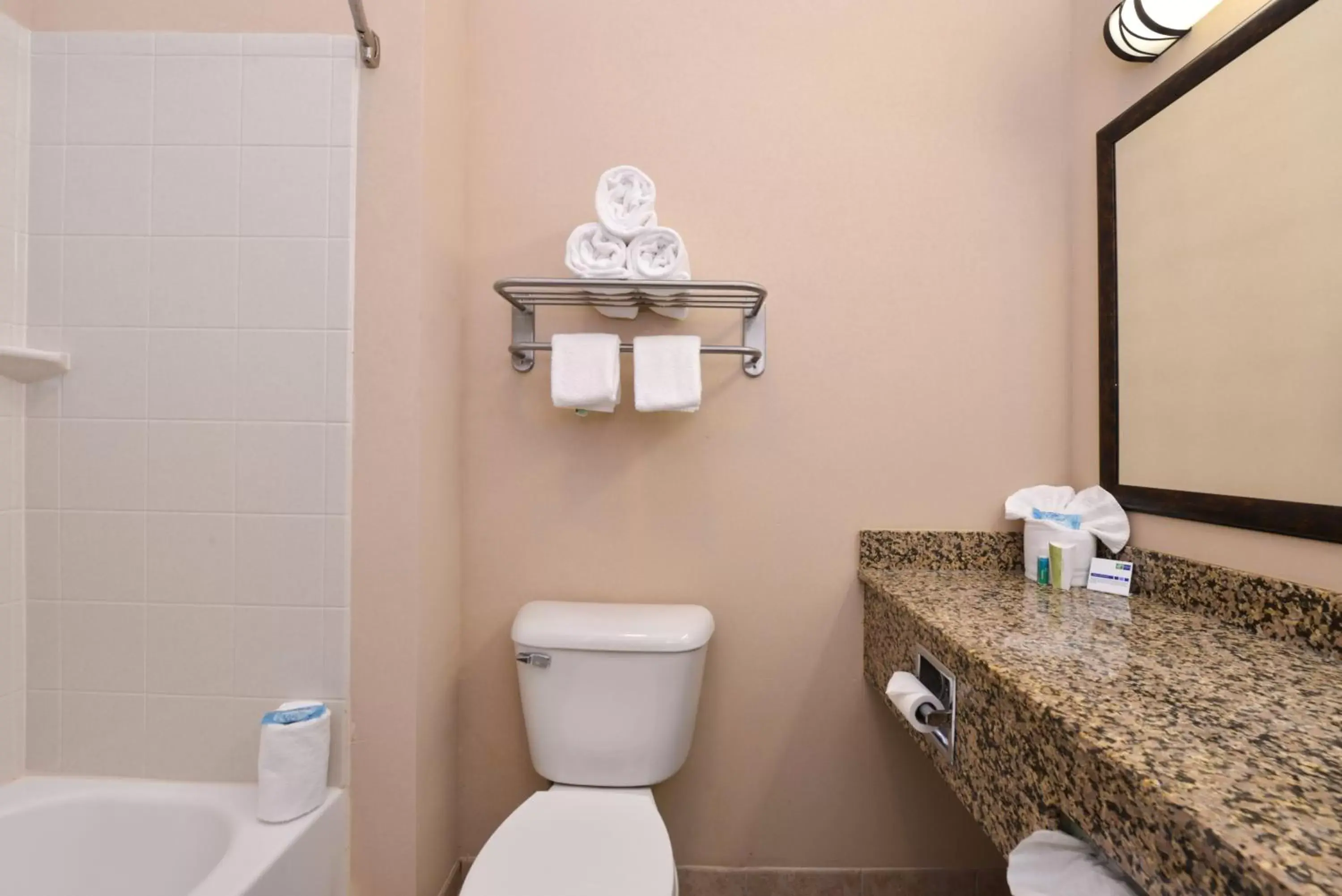 Bathroom in Holiday Inn Express & Suites Fairmont, an IHG Hotel