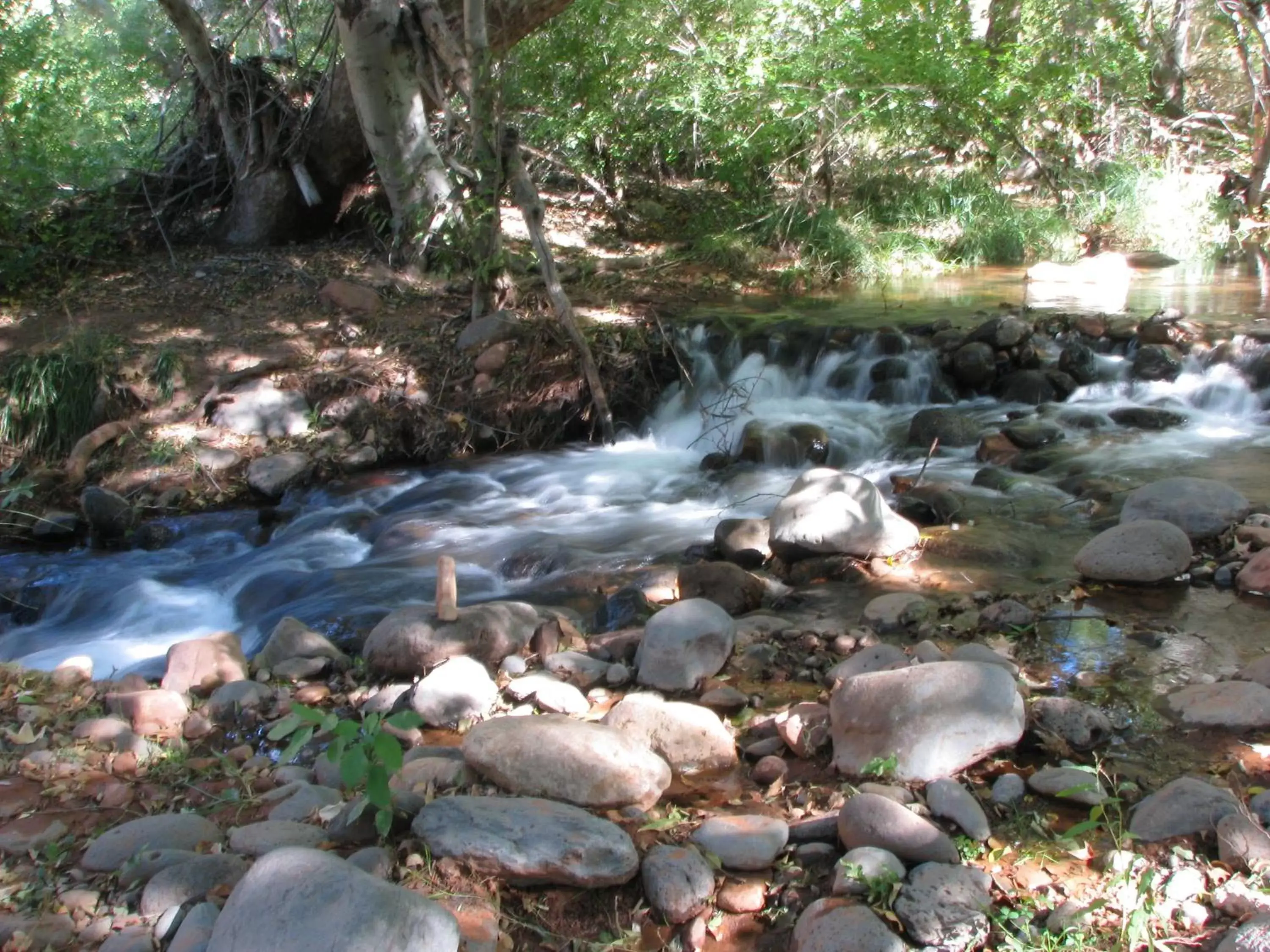 Natural landscape in Villas at Poco Diablo, a VRI resort