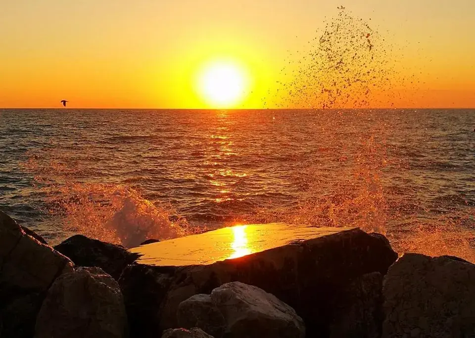 Beach, Sunrise/Sunset in Hotel Il Parco Sirolo