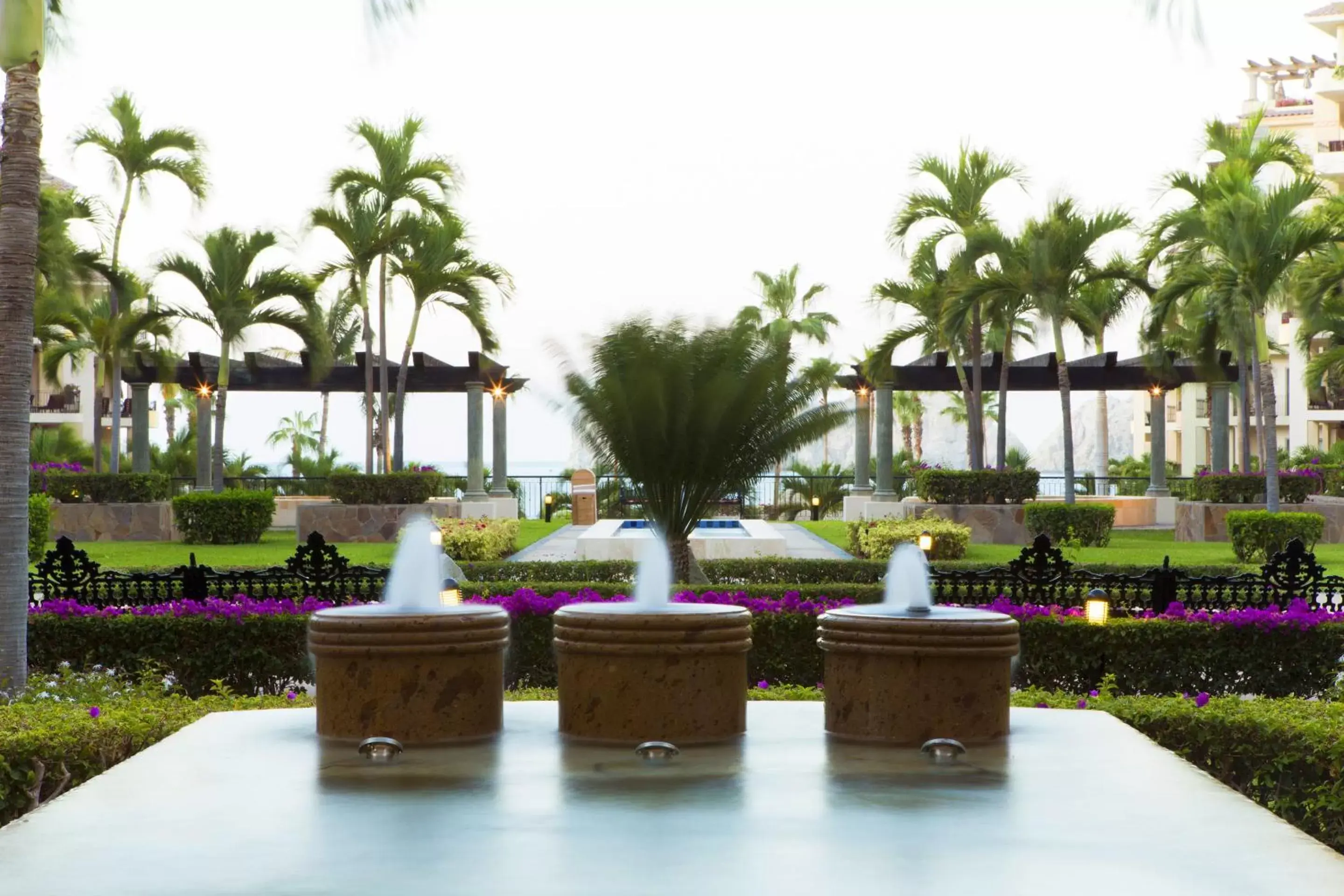 Garden in Villa la Estancia Beach Resort & Spa