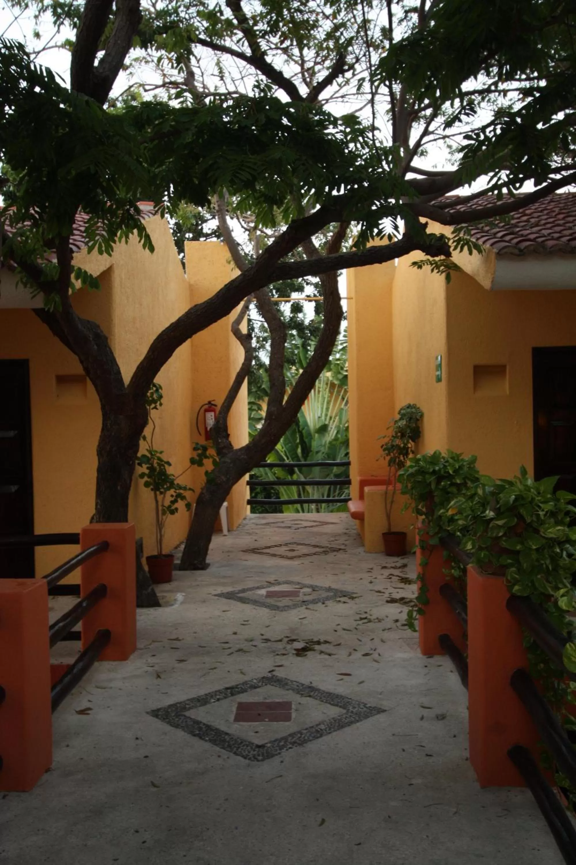 Facade/entrance in Hotel LunaSol