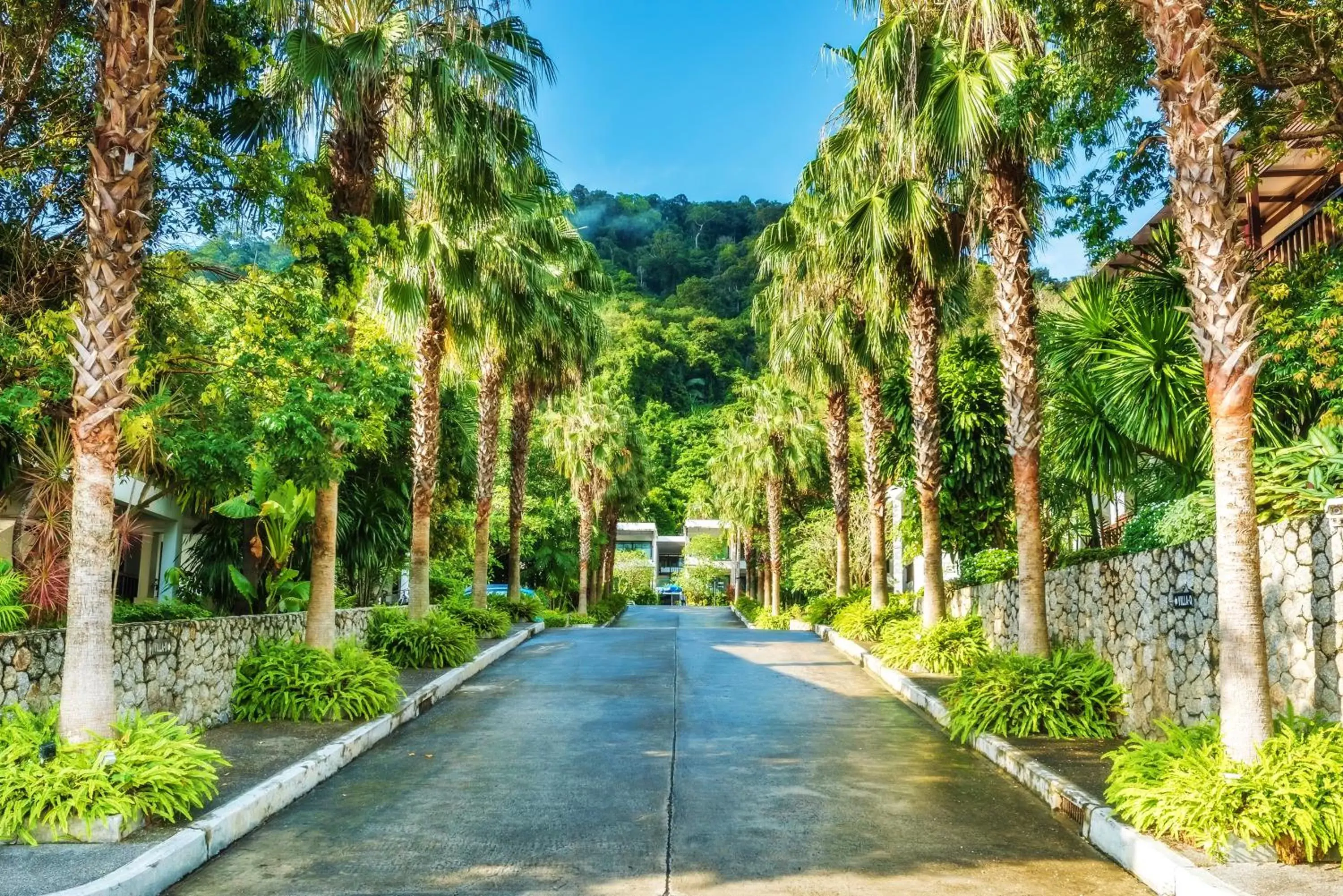 Garden in Wyndham Sea Pearl Resort, Phuket