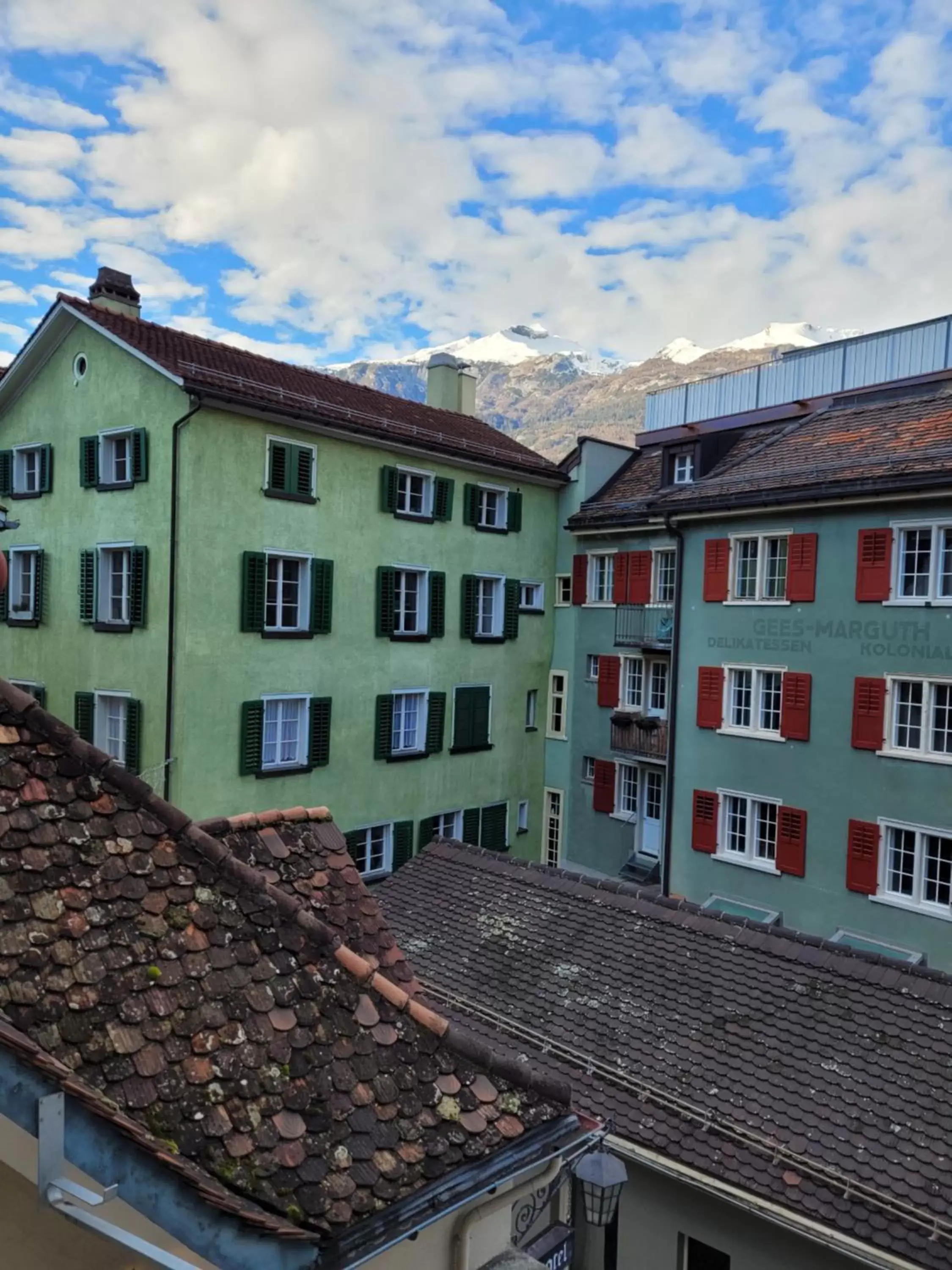 View (from property/room), Property Building in Zunfthaus zur Rebleuten