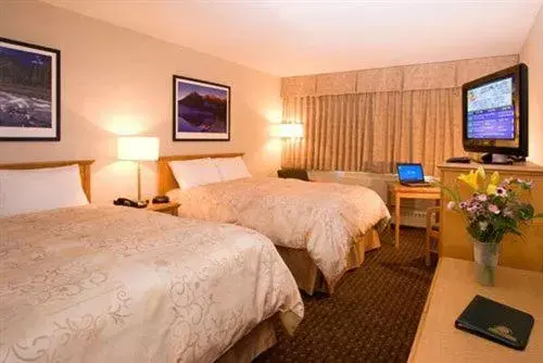 Photo of the whole room, Bed in Woodlands Inn & Suites