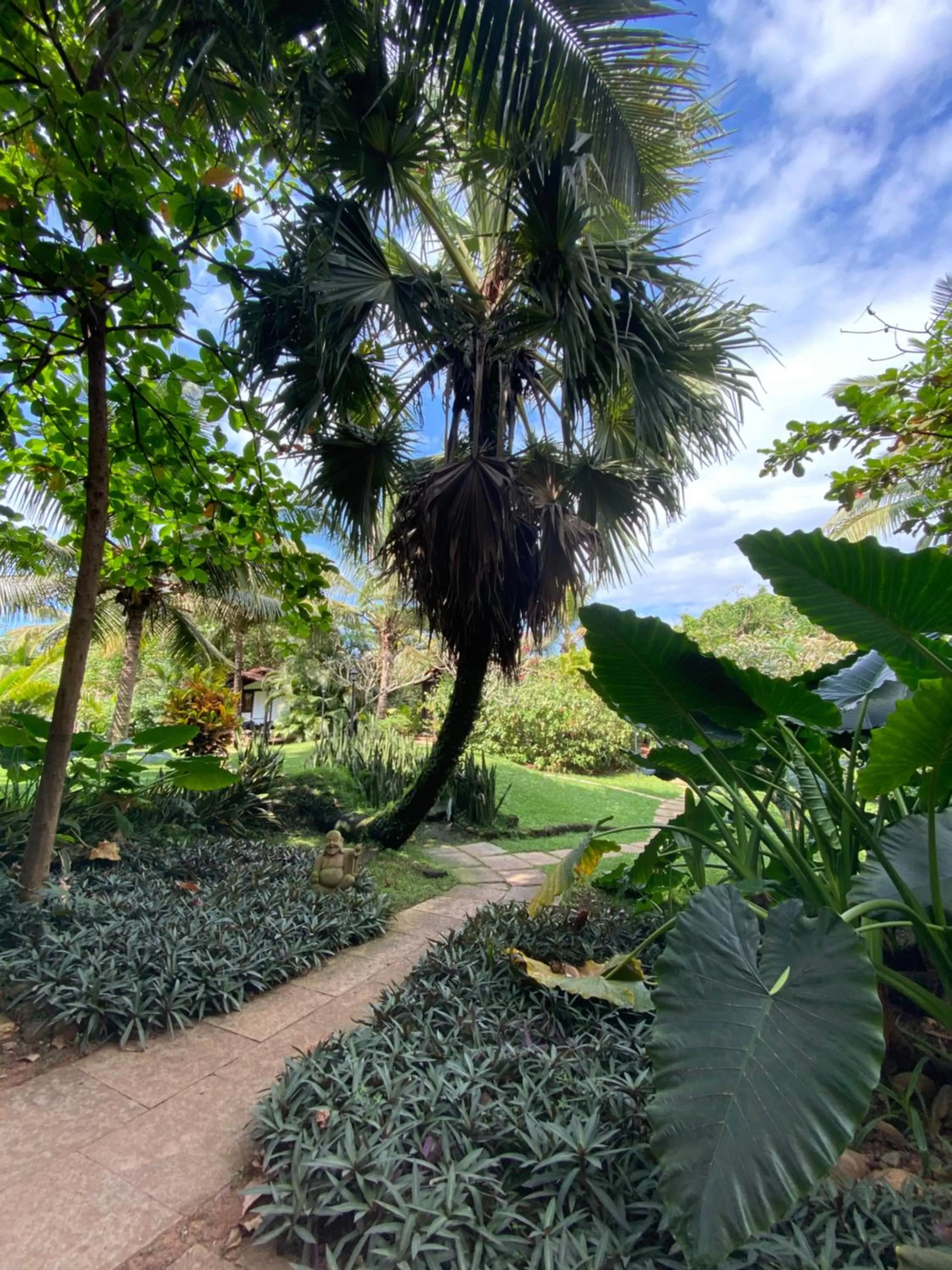 Garden in Chalston Beach Resort