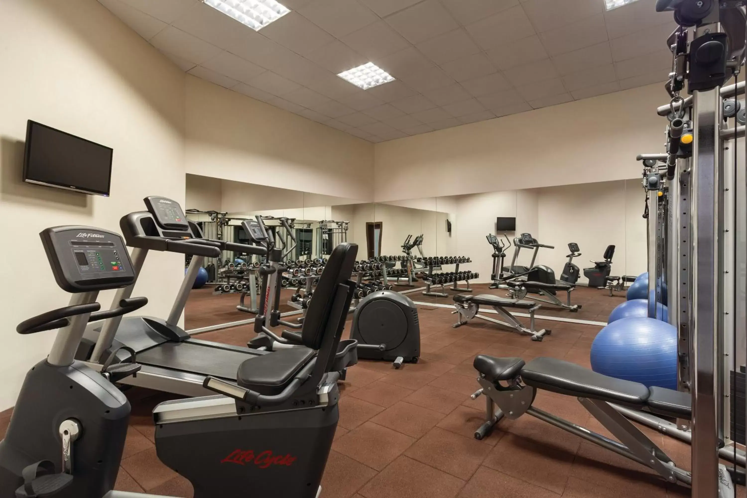 Fitness centre/facilities, Fitness Center/Facilities in Ramada Plaza By Wyndham Izmir