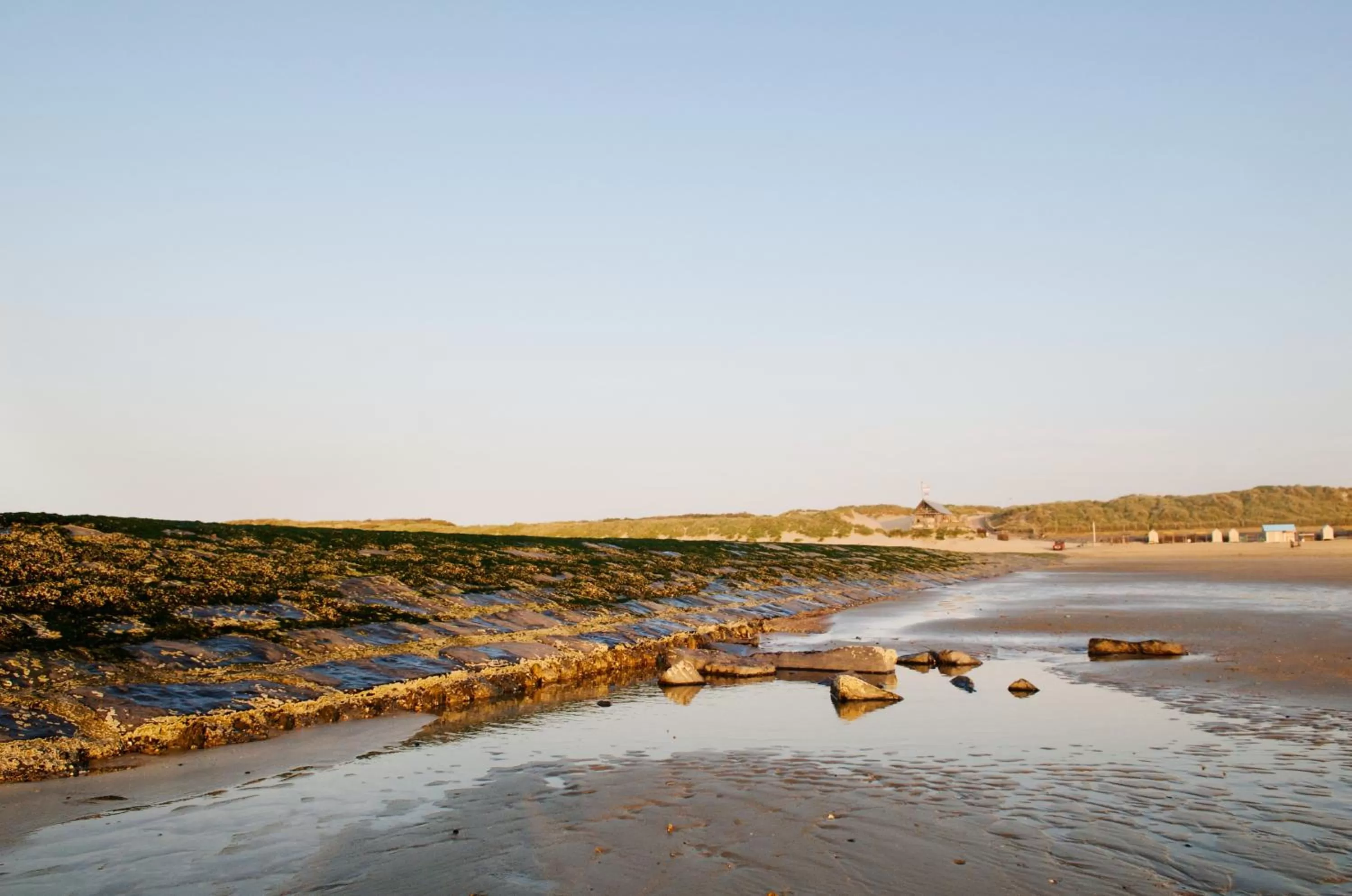 Area and facilities in Hotel De Golf