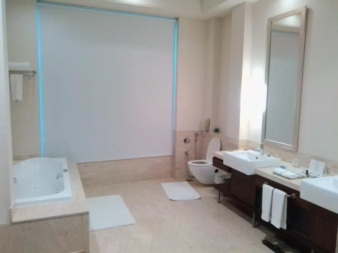 Shower in Radisson Noida