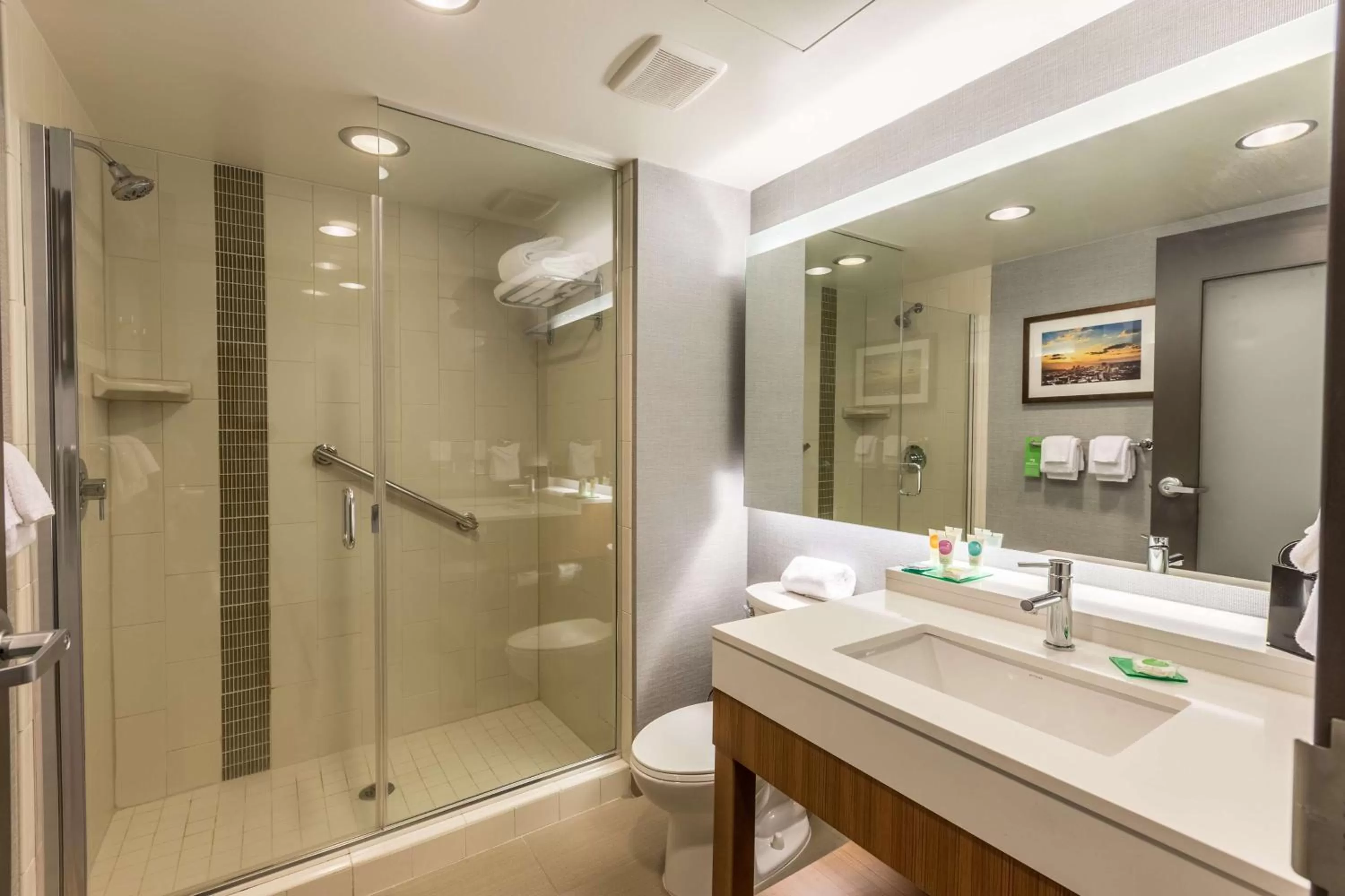 Shower in DoubleTree by Hilton Asheville Downtown