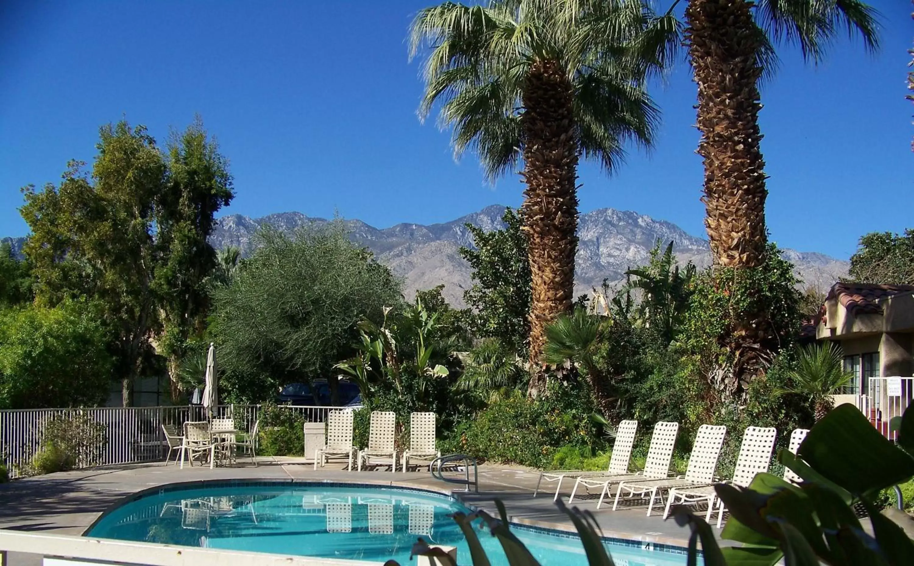 Swimming pool in The Oasis Resort Swimming pool in The Oasis Resort
