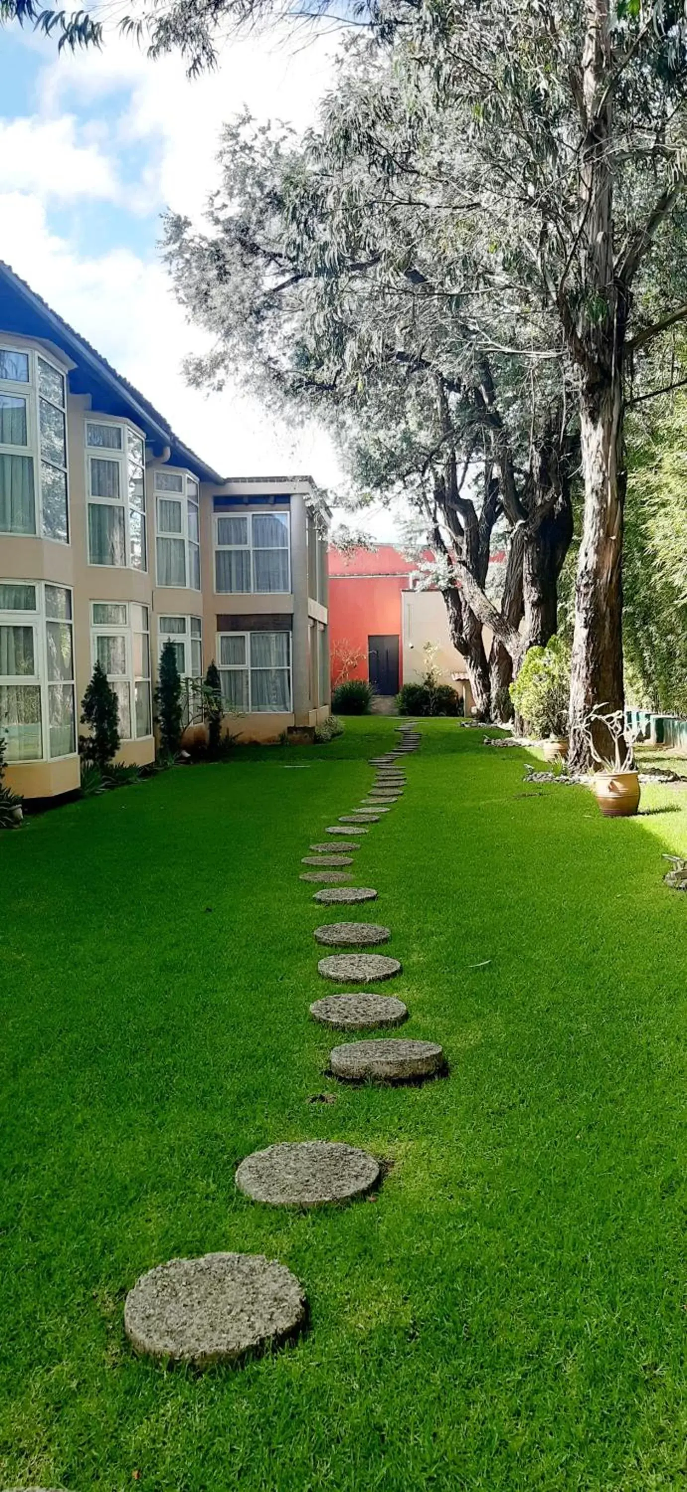 Garden, Property Building in Hoteles Villa Mercedes San Cristobal