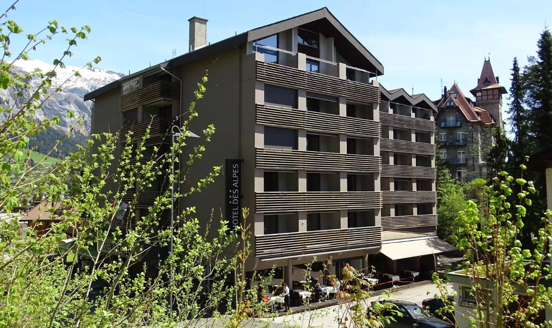 Property Building in Hotel des Alpes