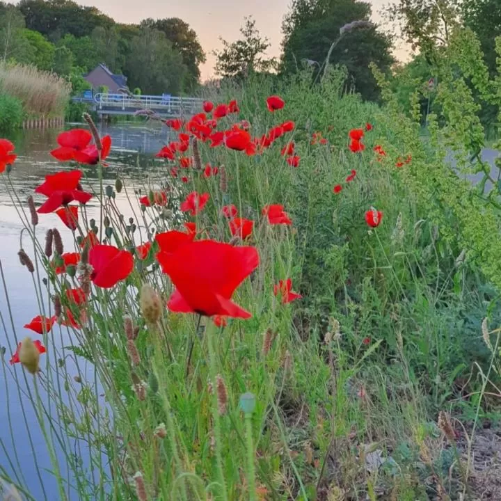 De Vliegende Vlinder