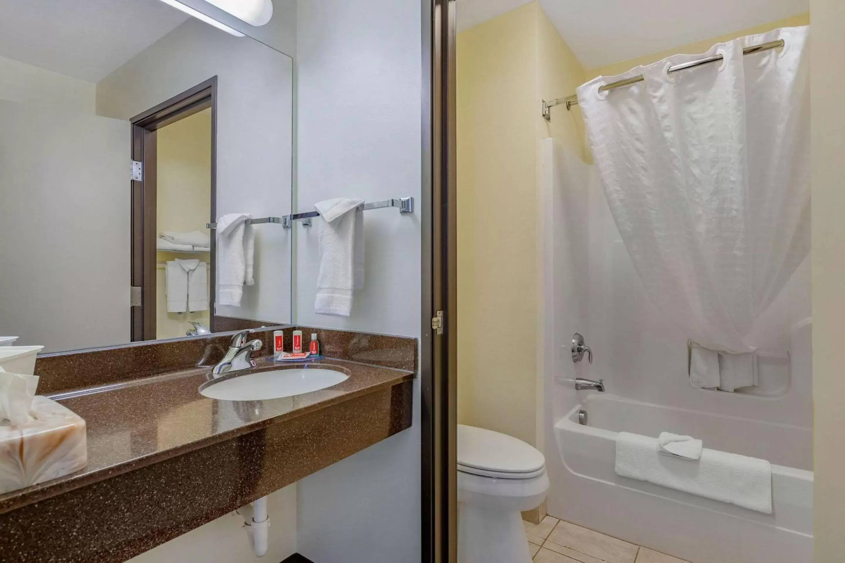 Bathroom in Econo Lodge Inn & Suites Fairgrounds