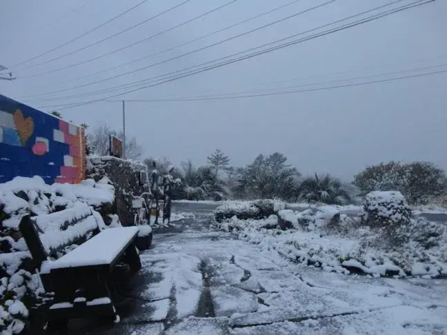 Facade/entrance in JEJU Doldam B&B Facade/entrance in JEJU Doldam B&B