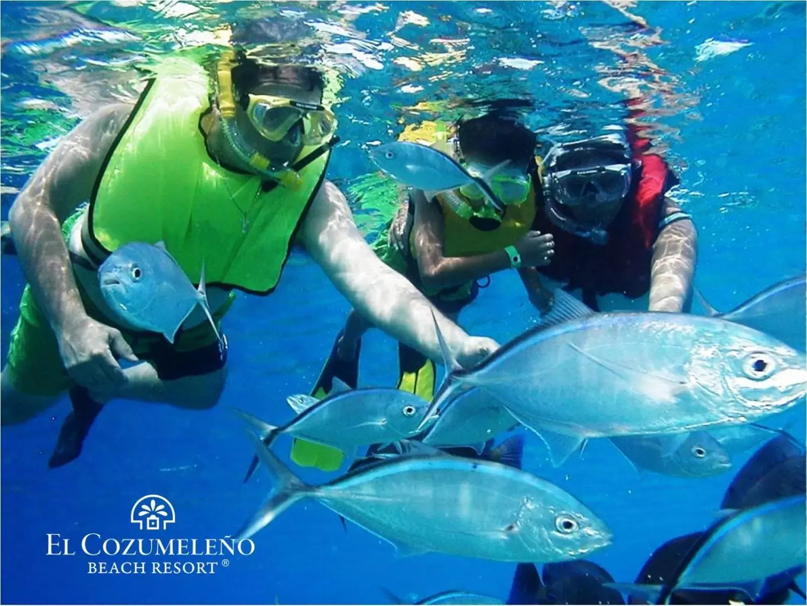 People, Snorkeling/Diving in El Cozumeleño Beach Resort - All Inclusive