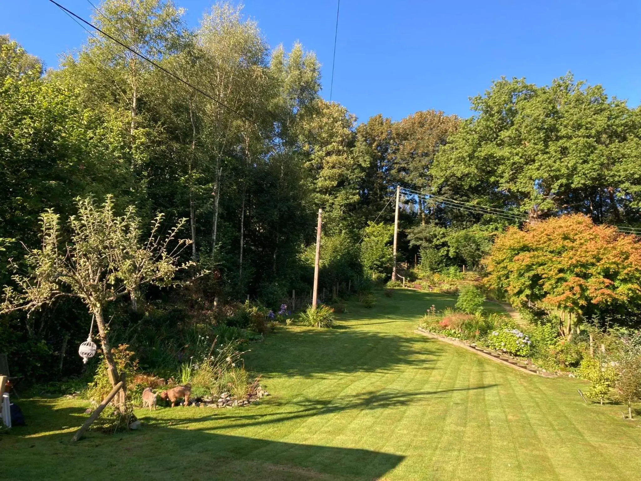 Garden view, Garden in Maple Bank Country Guest House