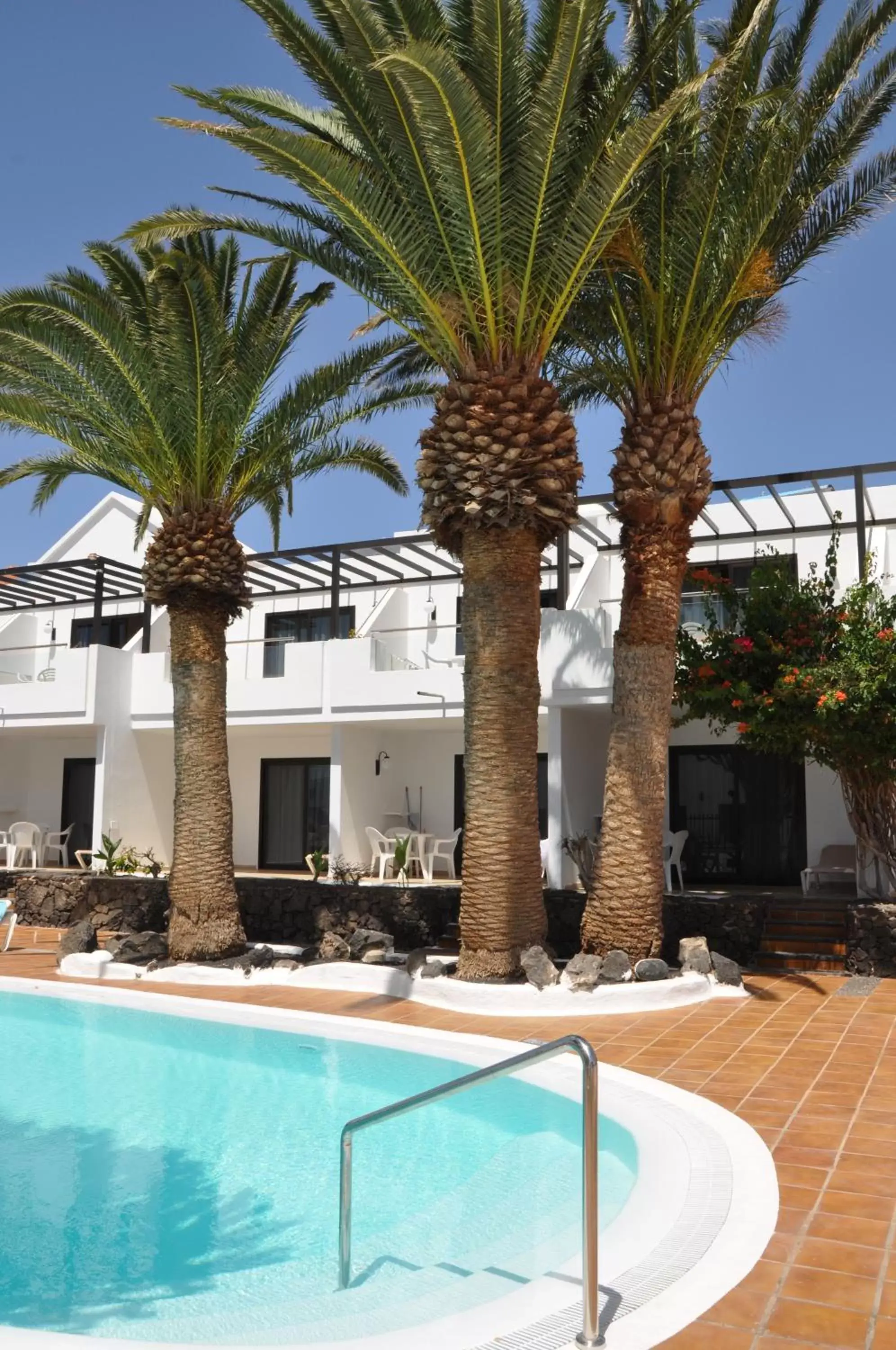 Property building, Swimming Pool in Los Tulipanes