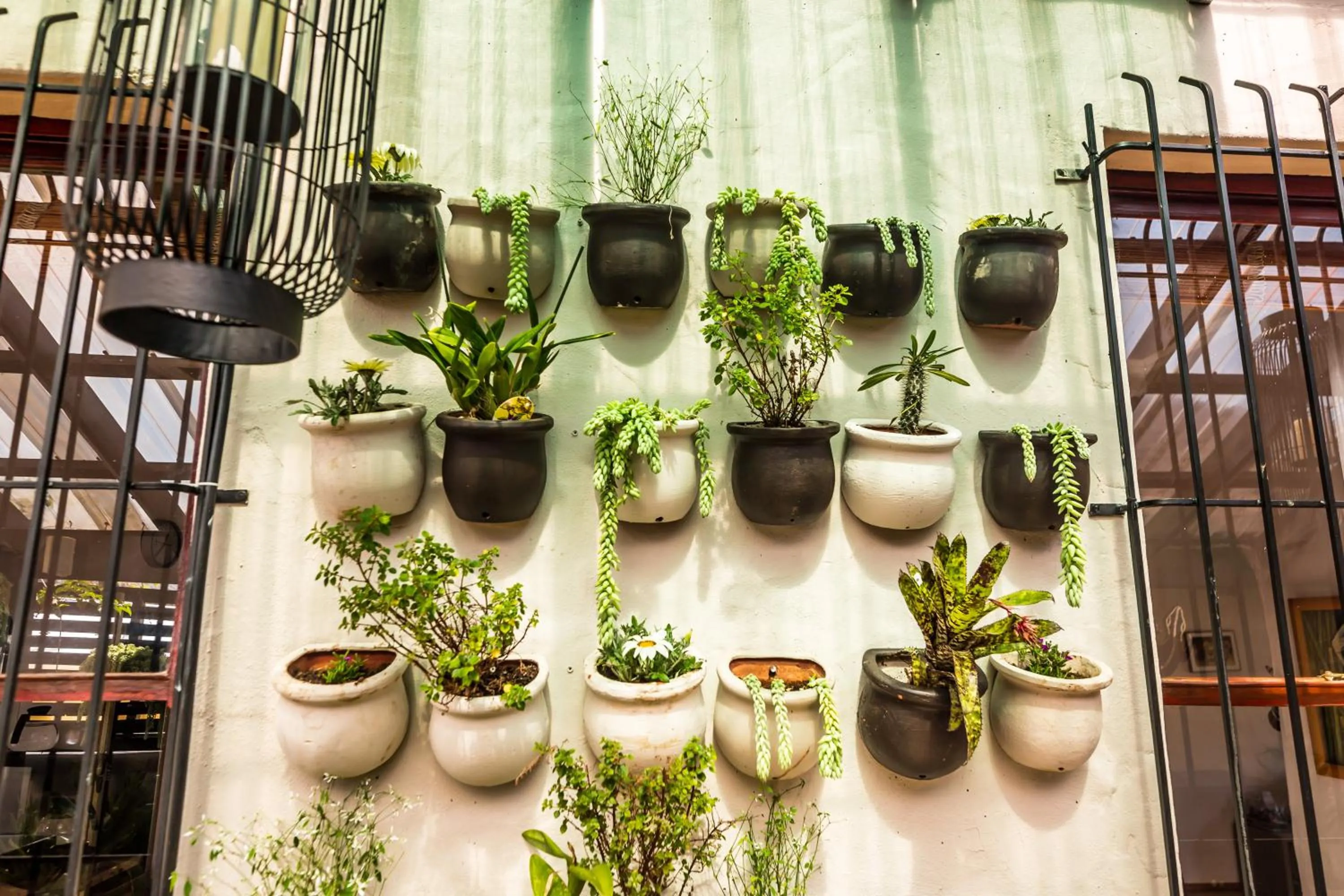 Garden in Point B Guest House -Sustainable Solar Energy