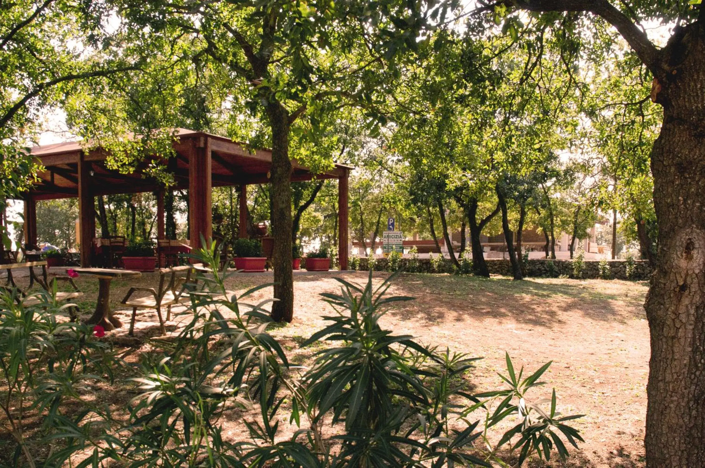 Garden, Patio/Outdoor Area in Agriturismo Fasano