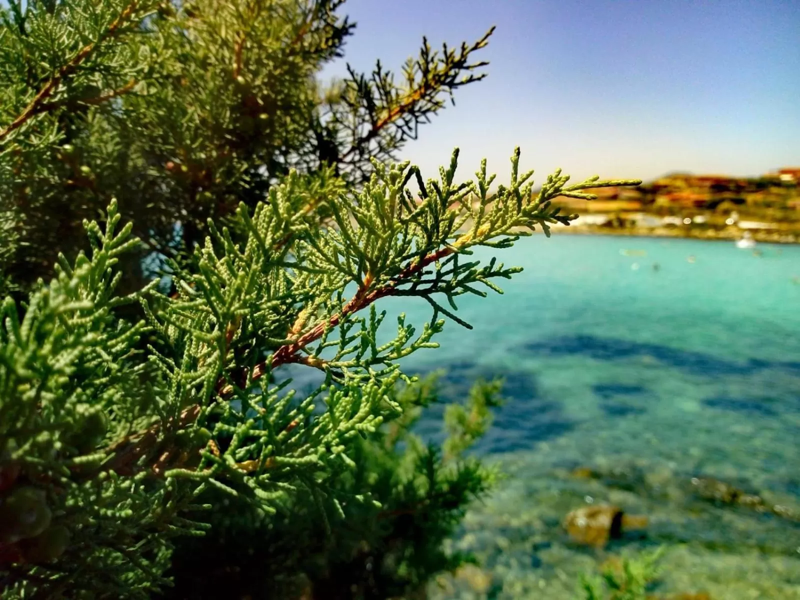 Natural Landscape in Le stanze del mare