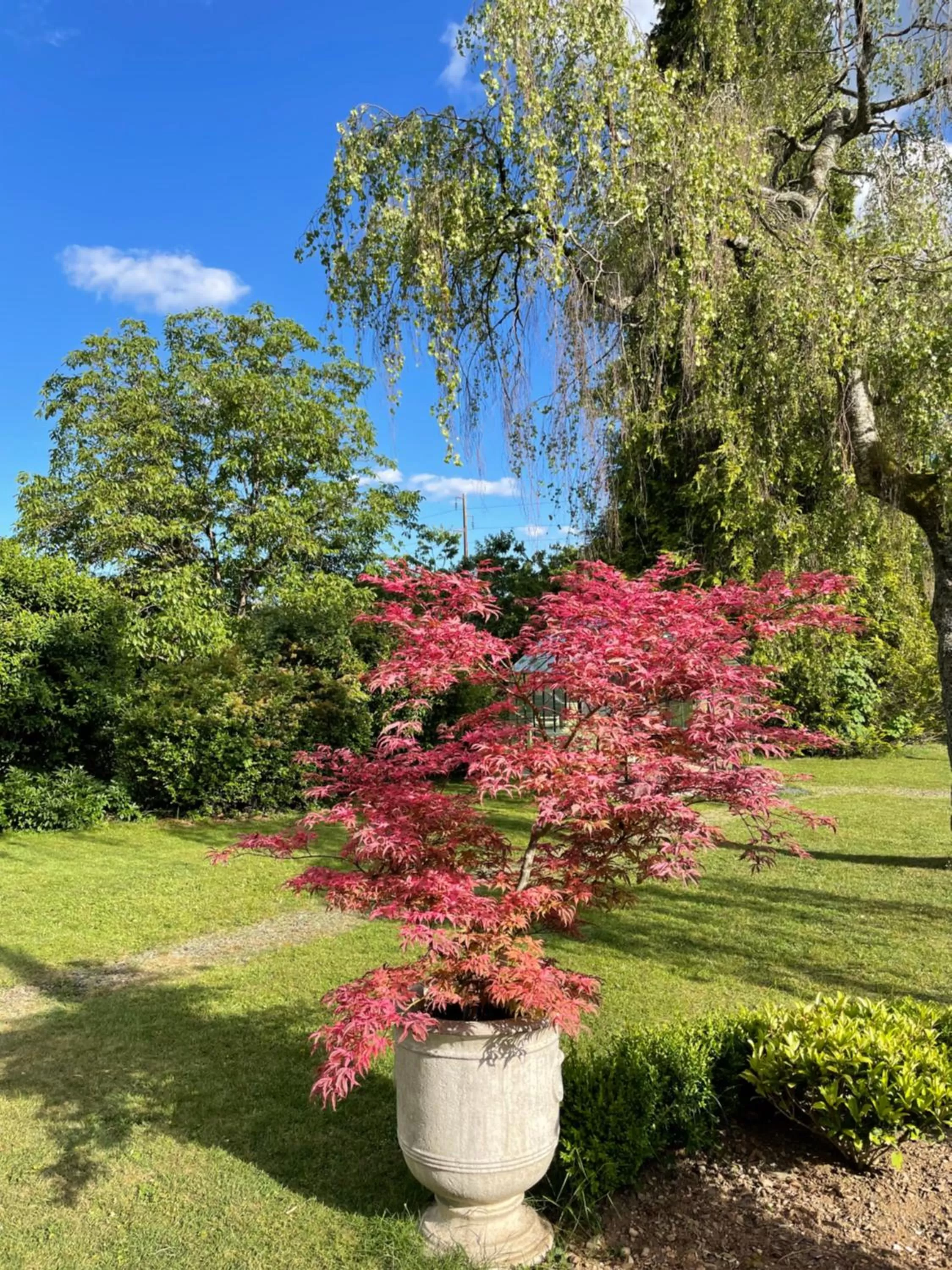 Garden in Au temps suspendu