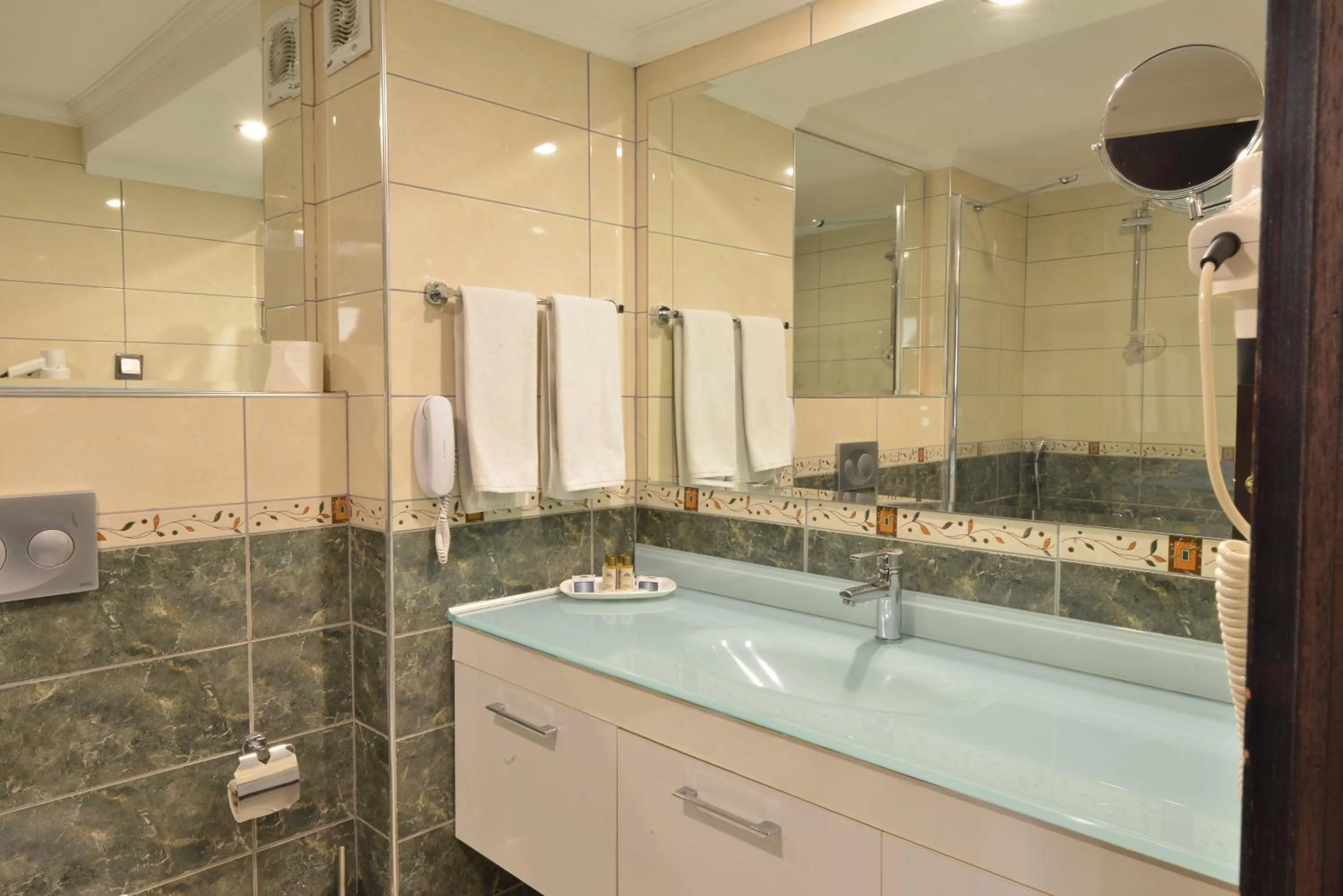 Double or Twin Room in Anadolu Hotels Esenboga Thermal