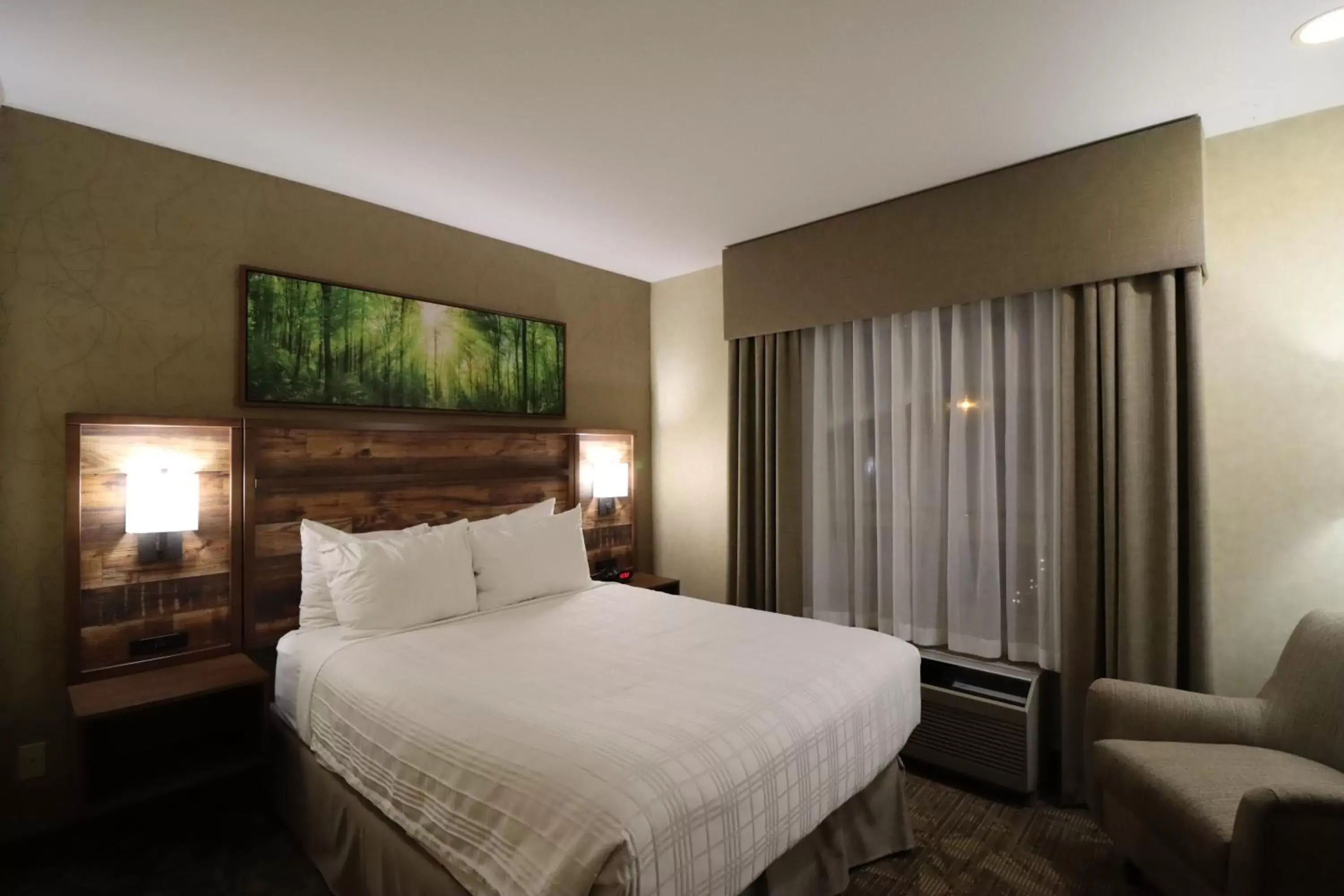 Bed in BEST WESTERN PLUS Valemount Inn & Suites