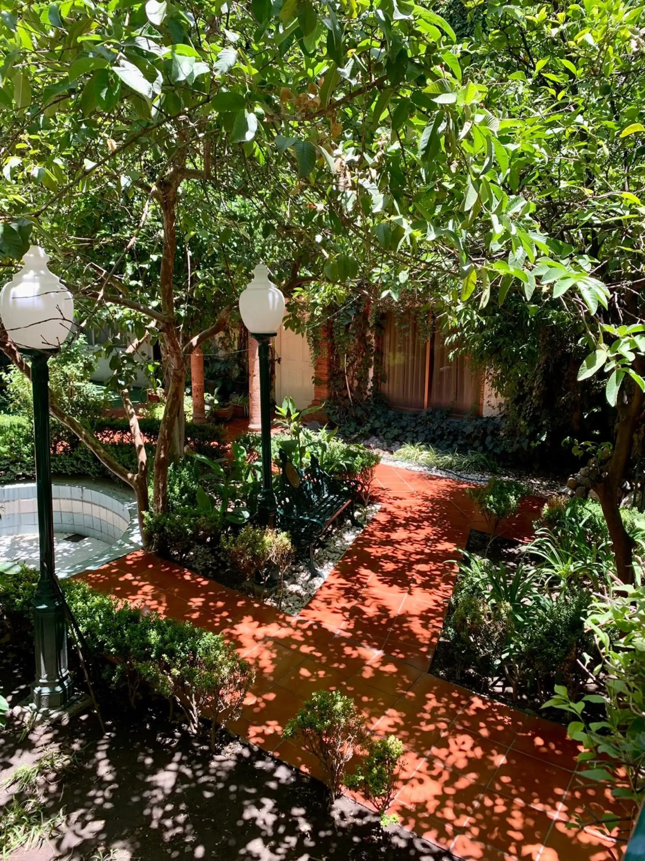 Area and facilities, Garden in Hotel Inn Galerias