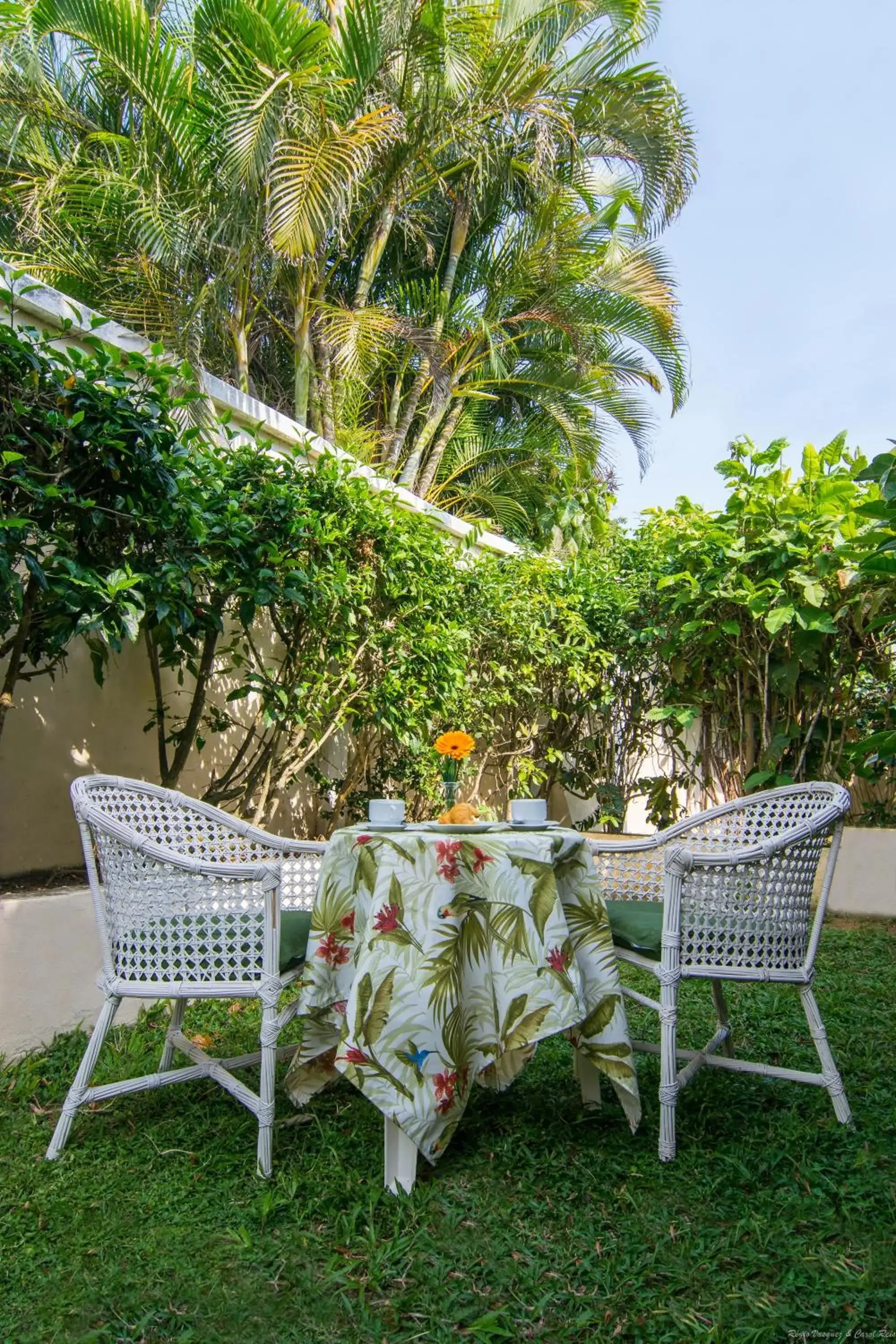 Patio, Garden in Hotel Doce Mar