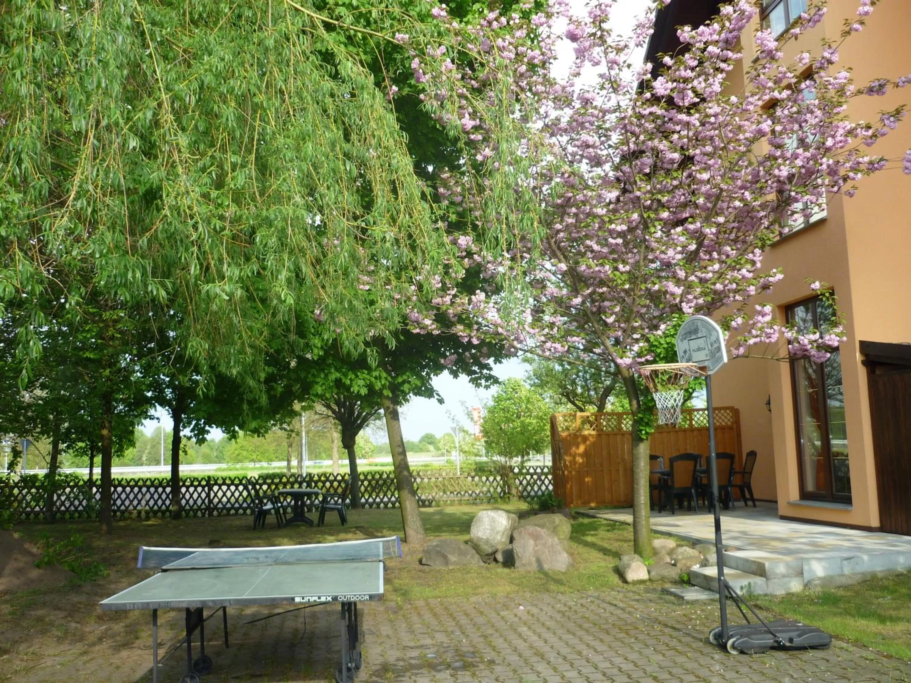 Table tennis in Willmersdorfer Hof