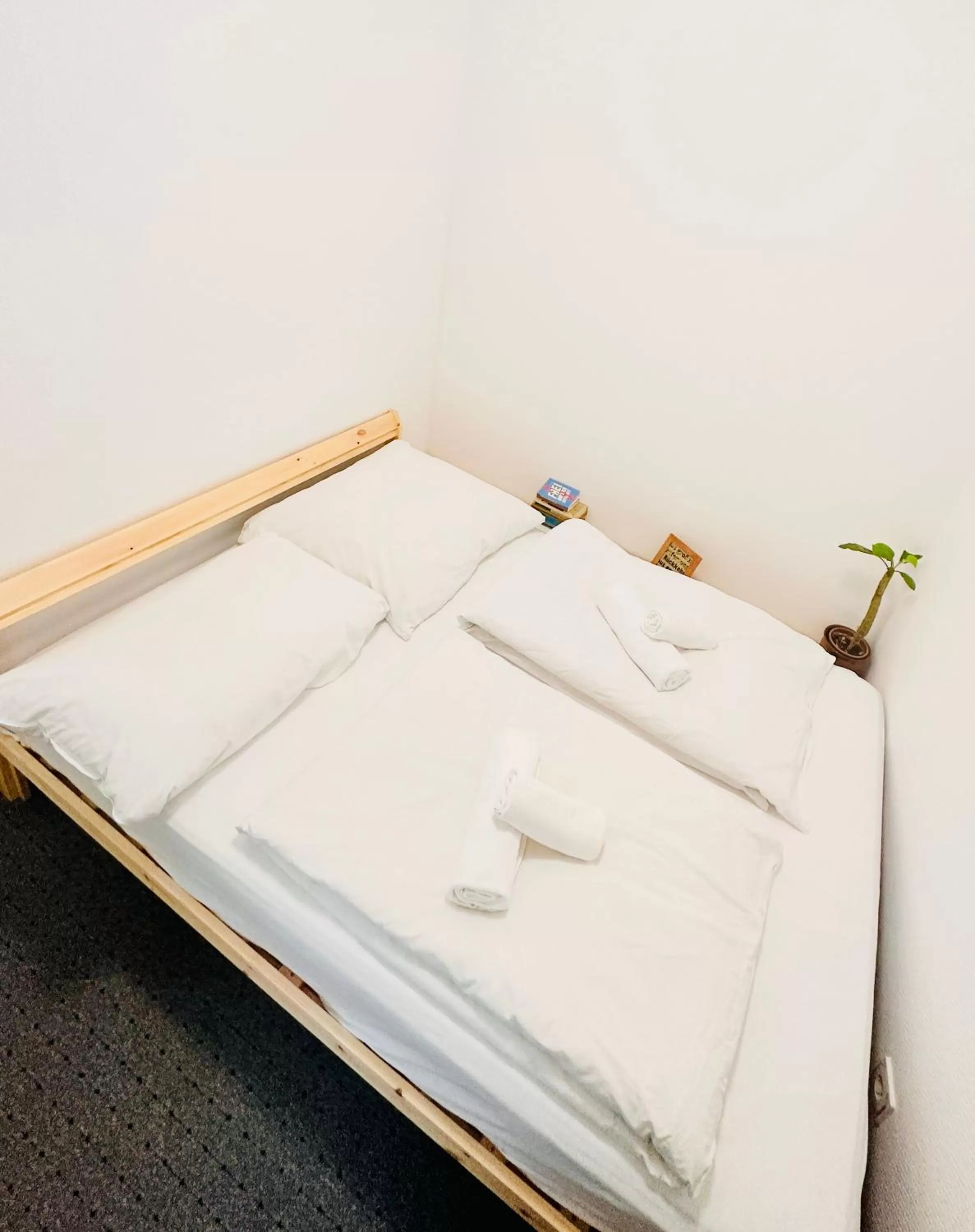 Bed in Saale, Marktplatz Zentrum, Apartmenthaus am Dom von Plant Room