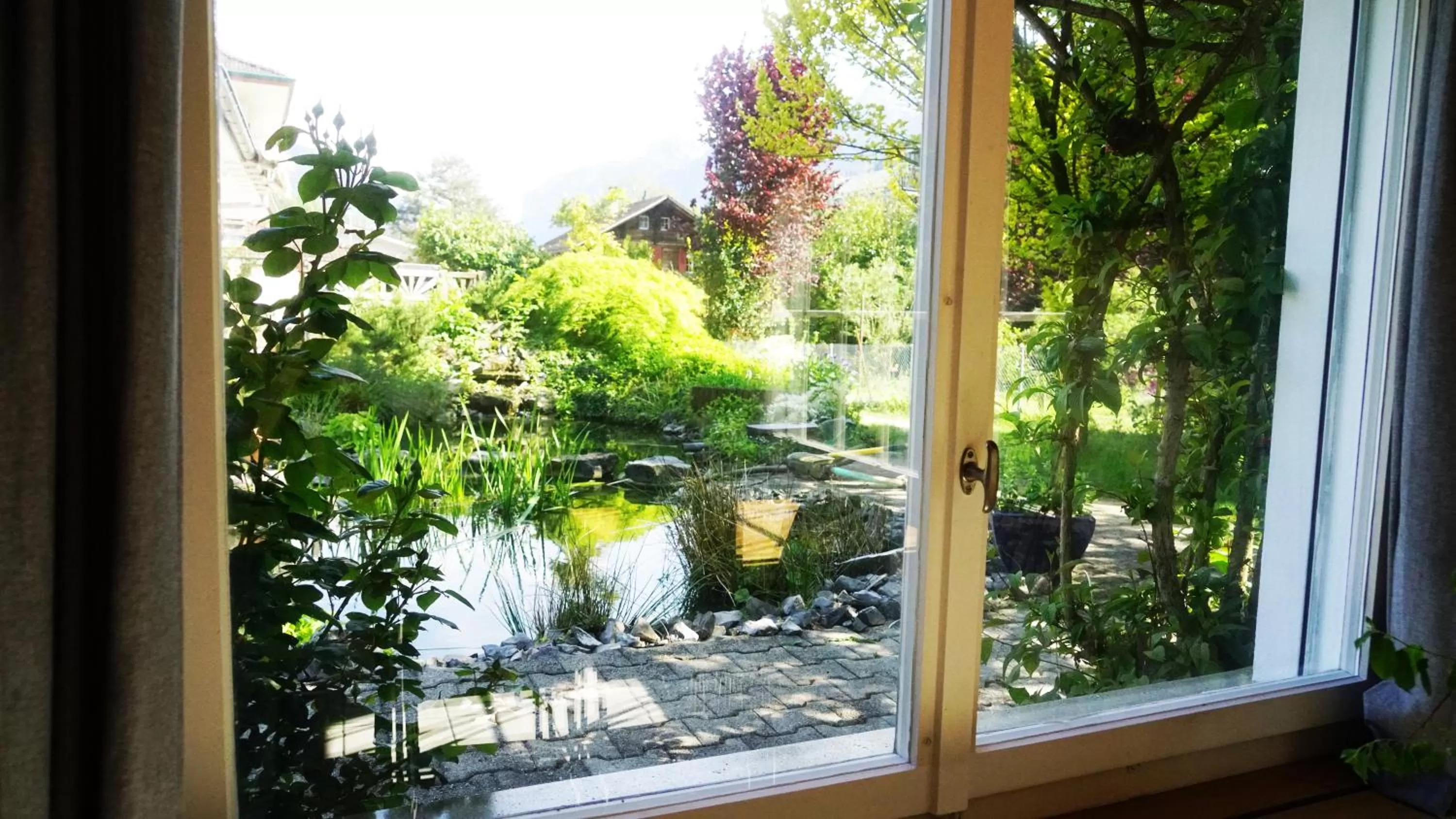Garden view in Adventure Guesthouse Interlaken