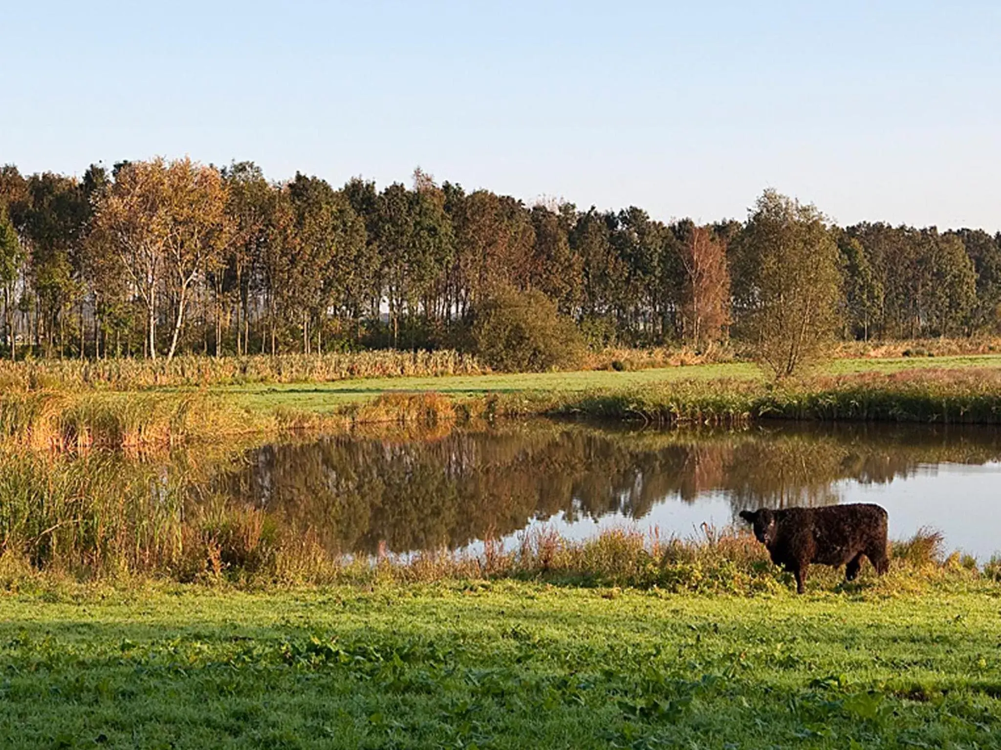 Natural landscape, Other Animals in Buitengoed De Uylenburg