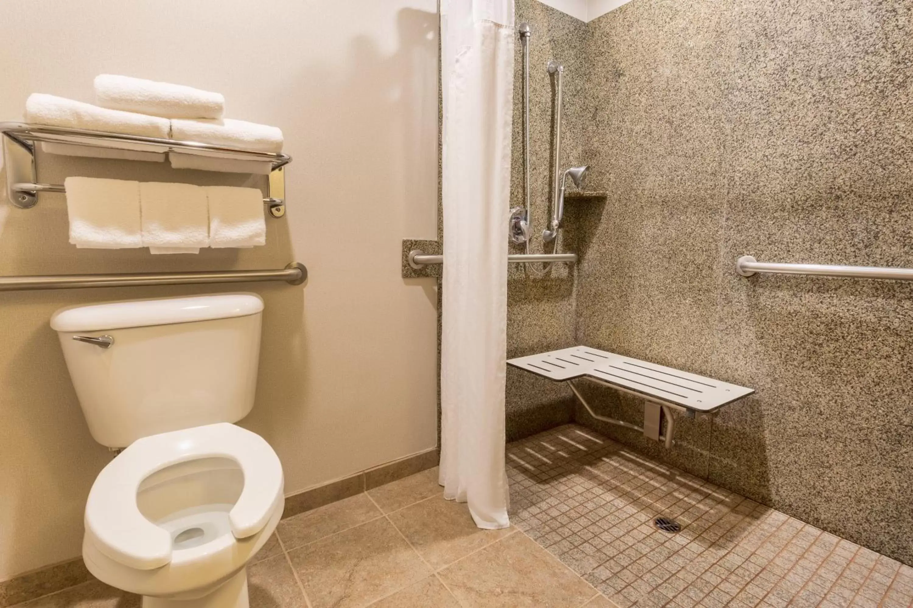 Bathroom in Holiday Inn Express Hotel & Suites Manteca, an IHG Hotel