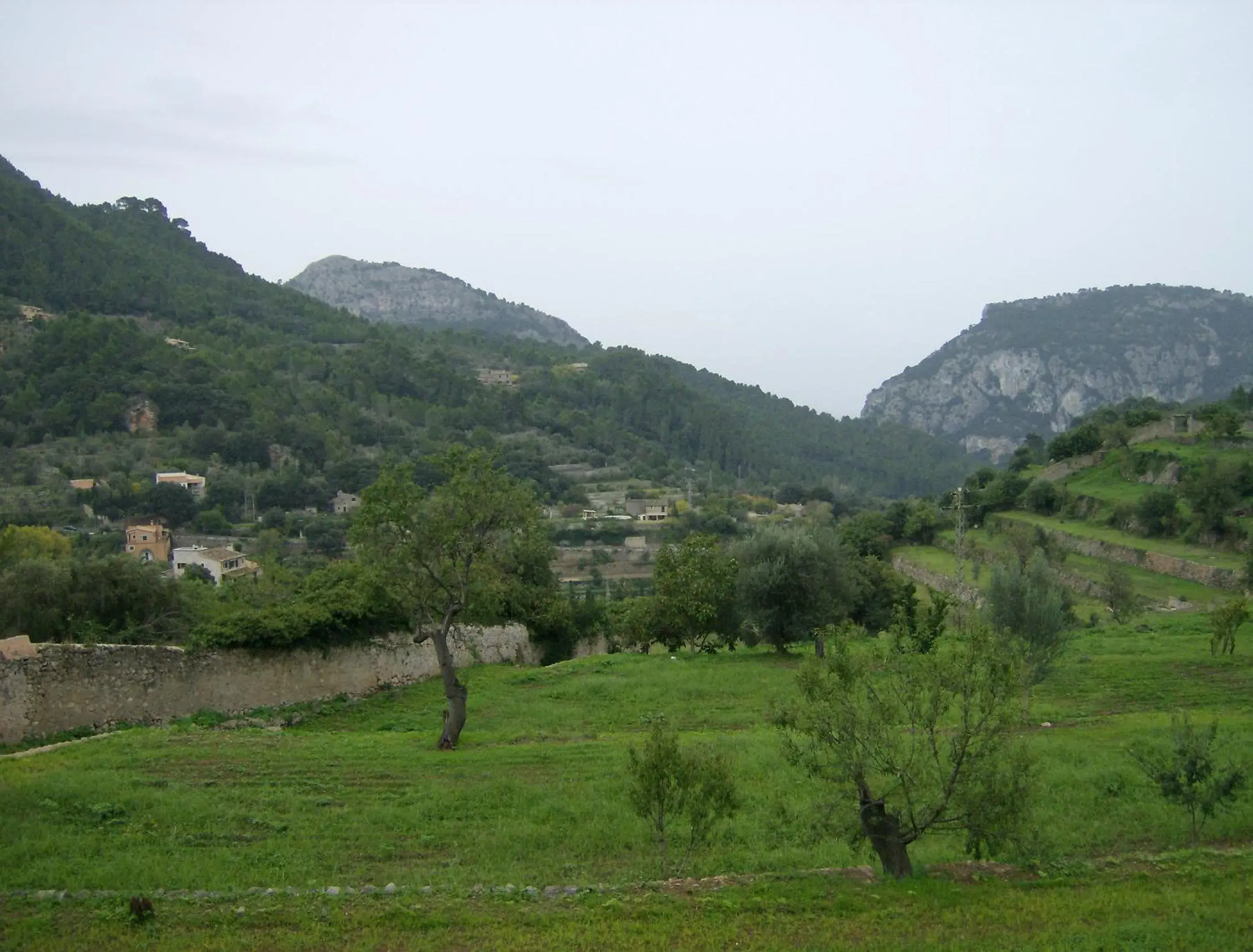 View (from property/room), Natural Landscape in Es Petit Hotel de Valldemossa