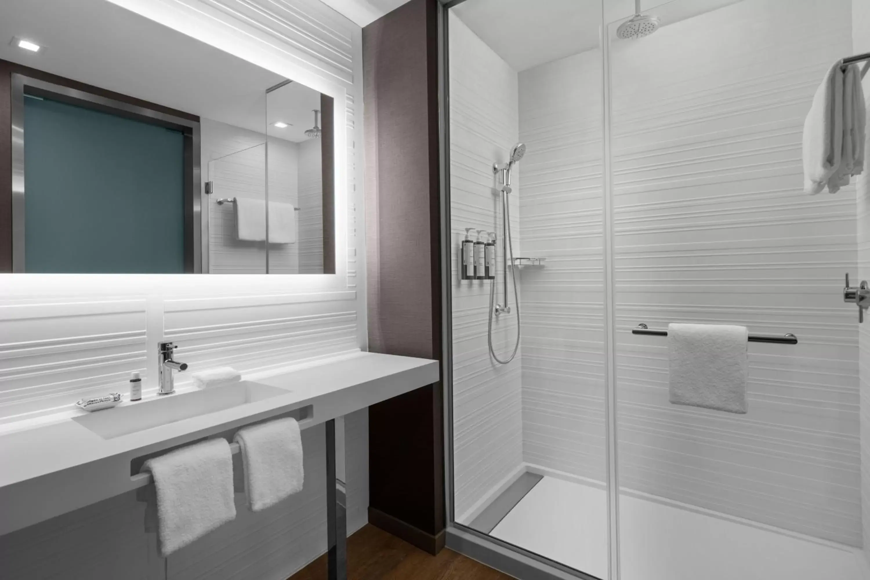 Bathroom in AC Hotel by Marriott Clearwater Beach
