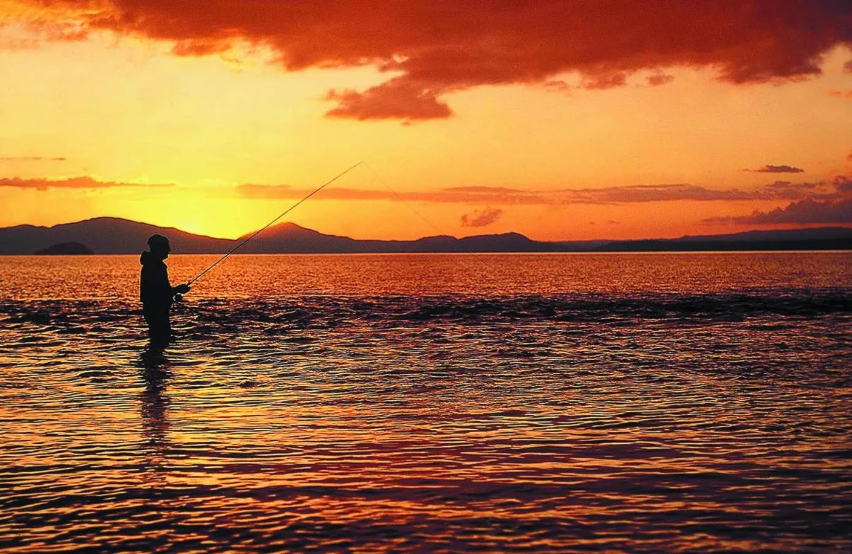 Fishing in Tongariro Lodge