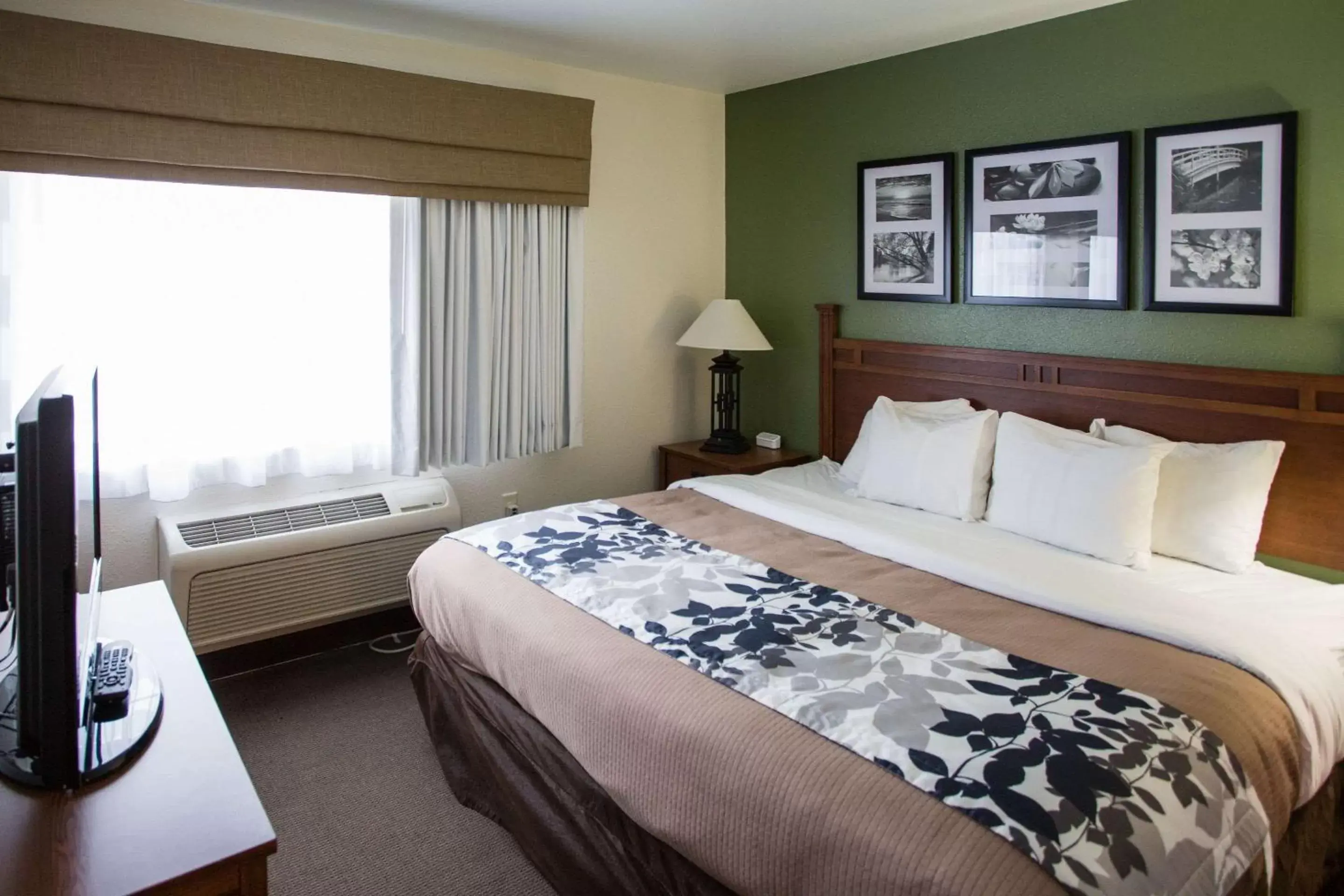 Photo of the whole room, Bed in Sleep Inn & Suites Conference Center Eau Claire