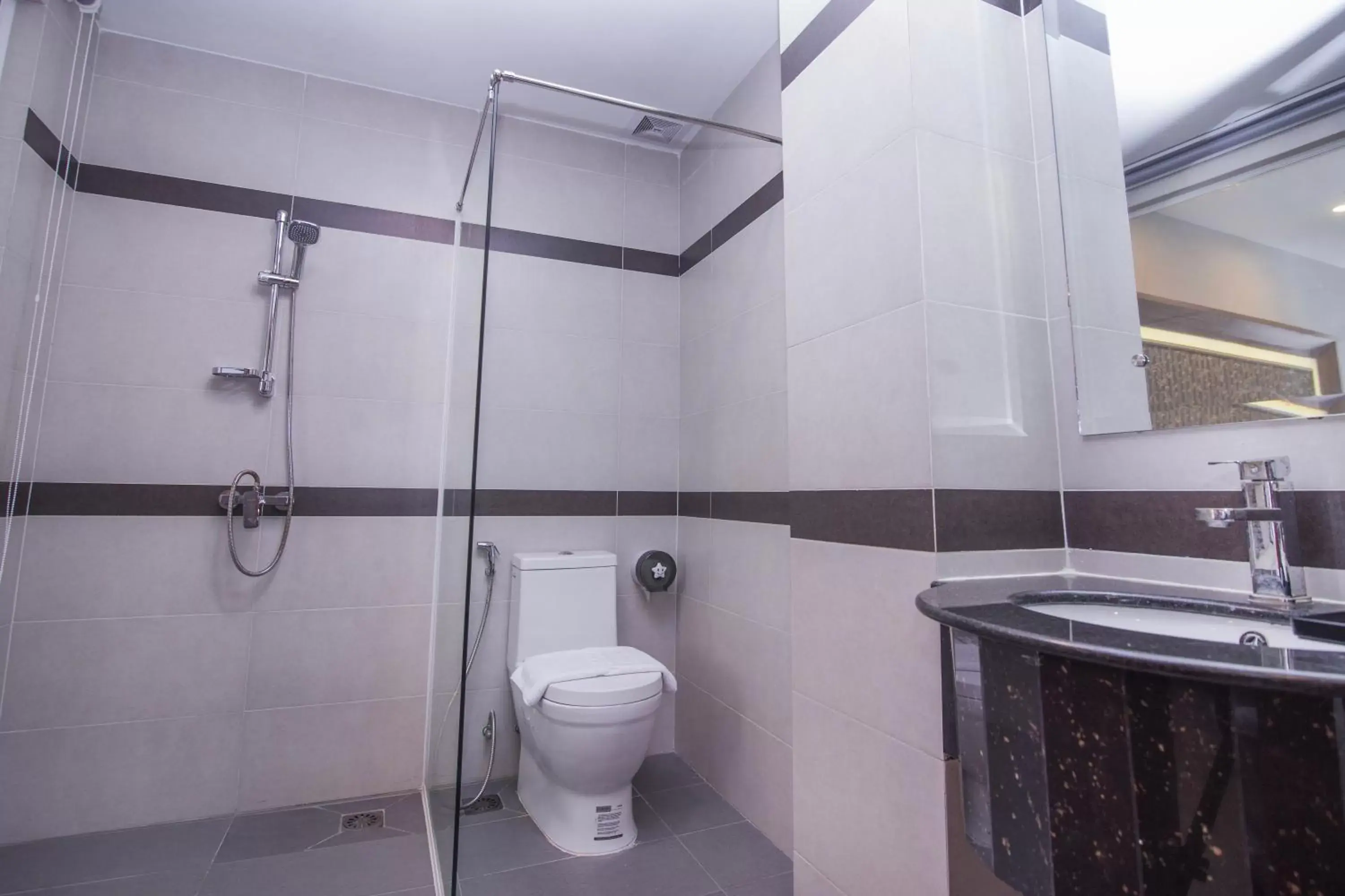 Toilet, Bathroom in New York Hotel
