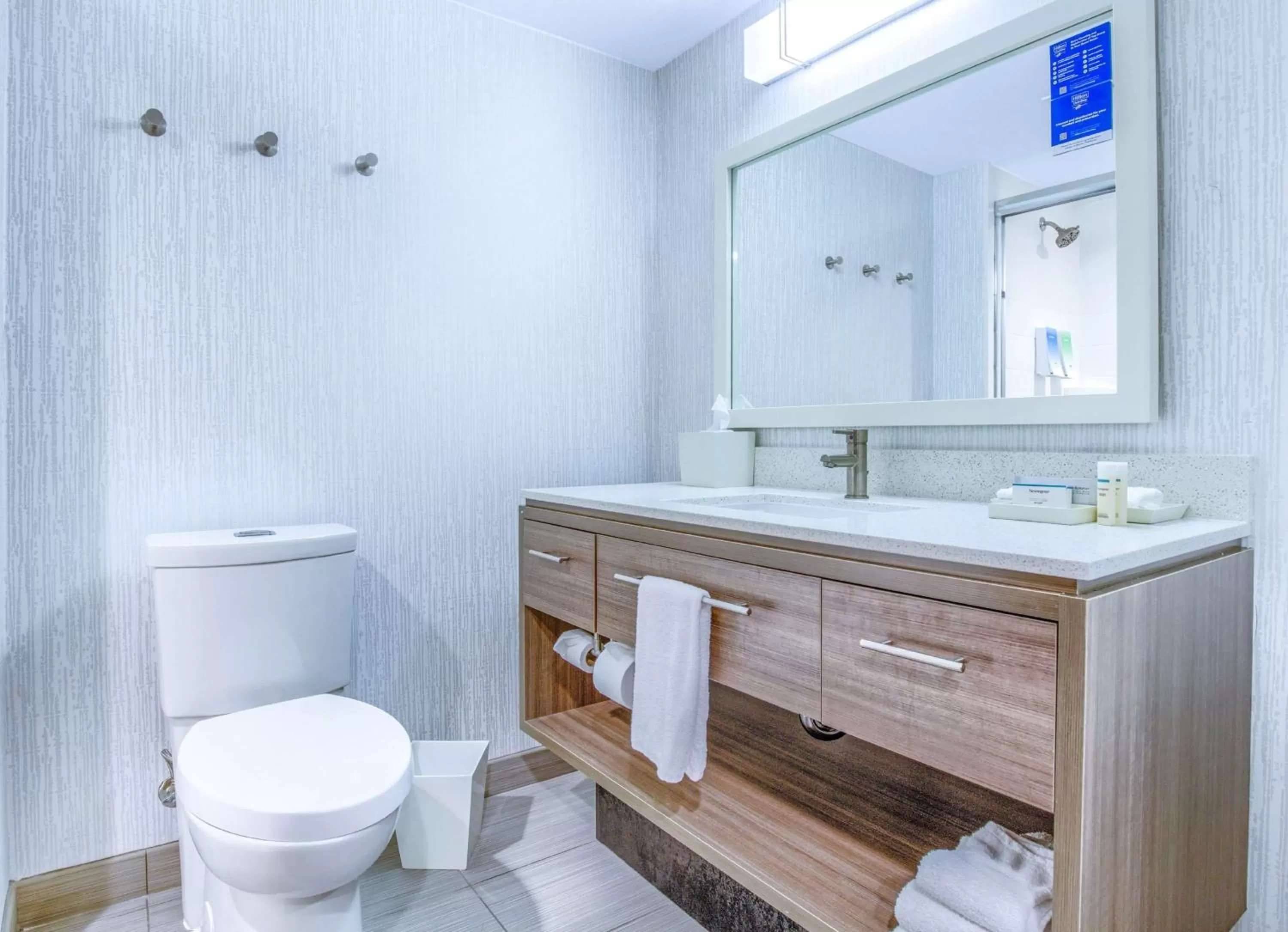 Bathroom in Home2 Suites by Hilton Mobile West I-10 Tillmans Corner