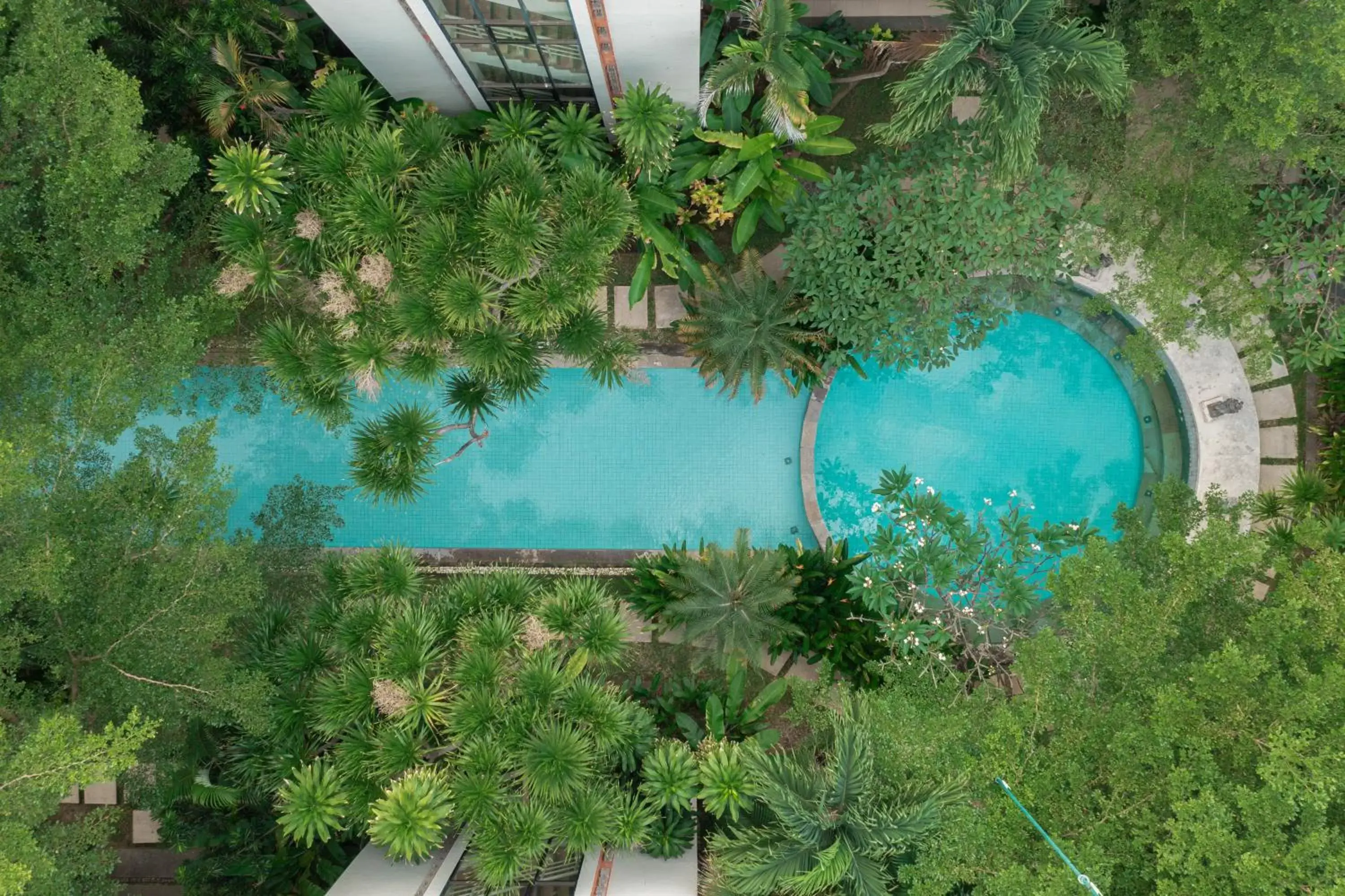 Swimming pool, Pool View in Prime Plaza Hotel Sanur – Bali