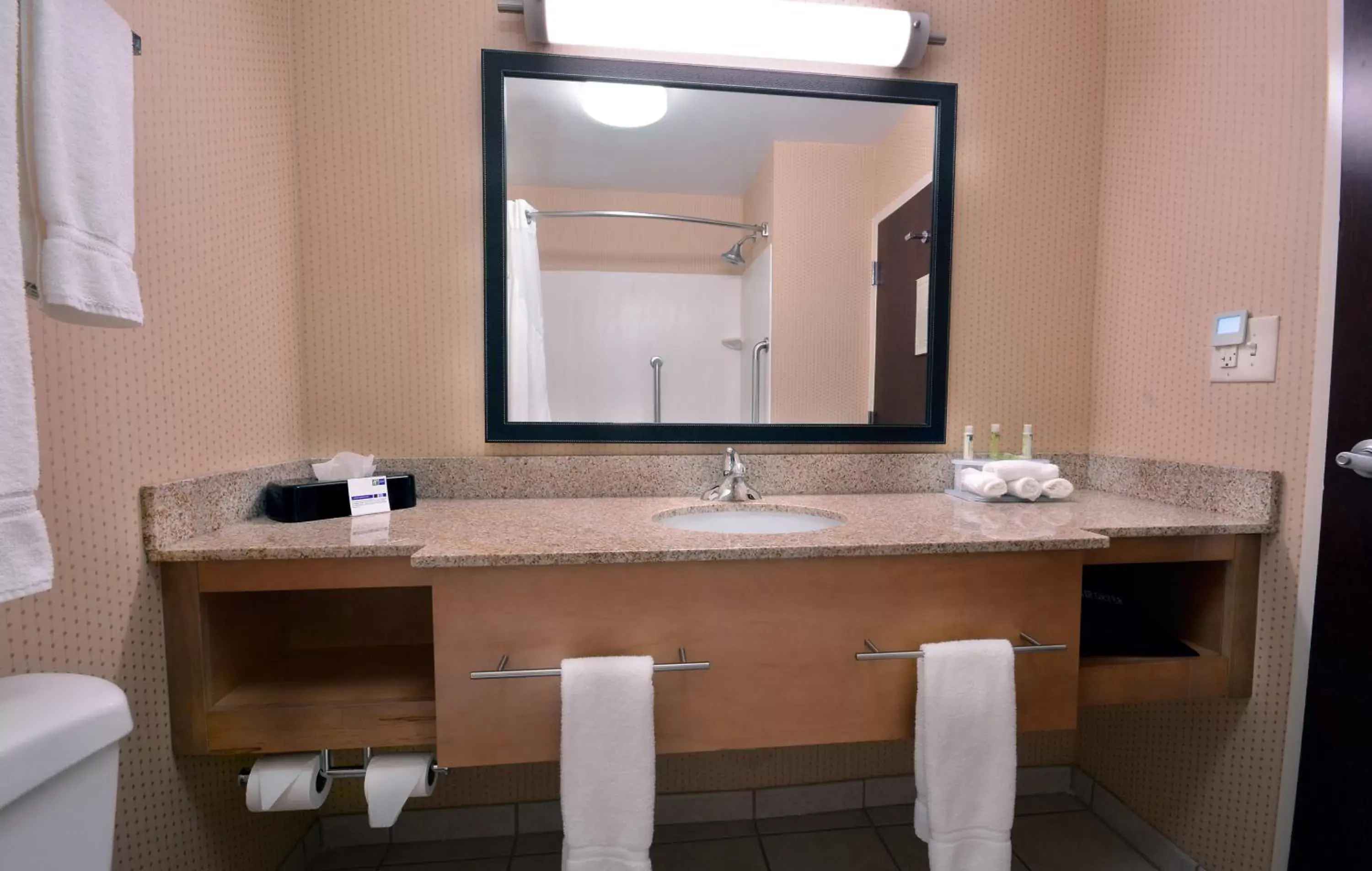 Bathroom in Holiday Inn Express Hotel & Suites High Point South, an IHG Hotel